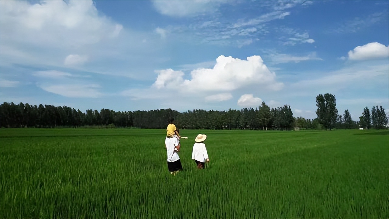 Kh&ocirc;ng mua nh&agrave; th&agrave;nh phố, cặp vợ chồng 33 tuổi biến s&acirc;n qu&ecirc; th&agrave;nh "ph&ograve;ng tắm nắng" v&agrave; chọn một kiểu tự do t&agrave;i ch&iacute;nh khiến d&acirc;n mạng tranh luận- Ảnh 15.