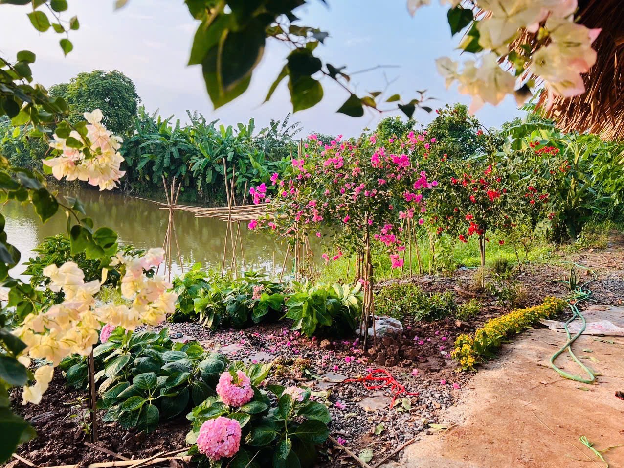 Năm Ất Tỵ ghi nhận một cơn b&atilde;o mang t&ecirc;n: 