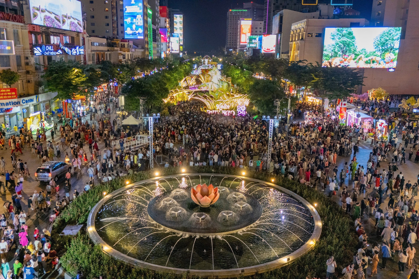 Đường hoa lớn nhất TPHCM ch&iacute;nh thức ch&agrave;o Tết- Ảnh 3.