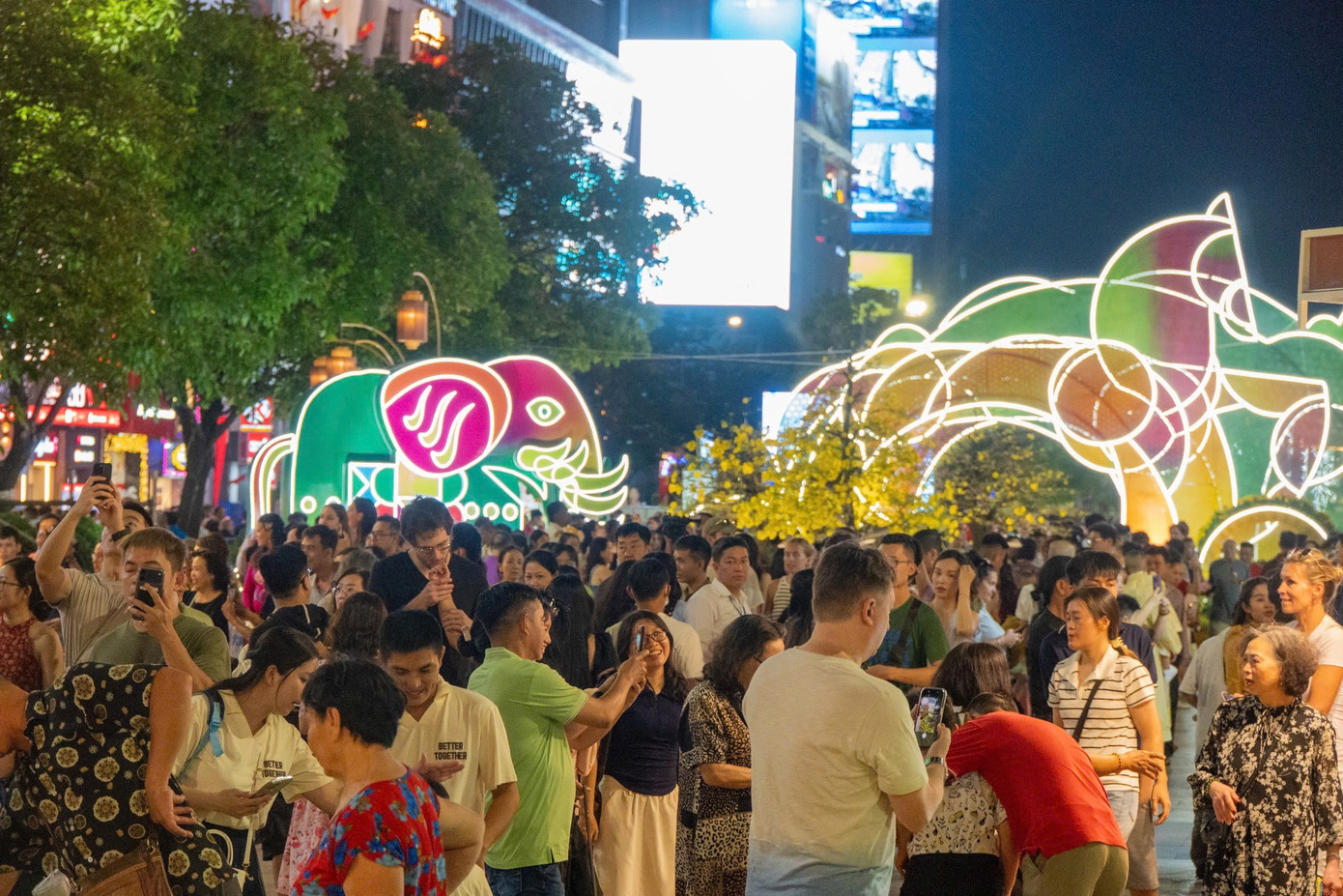 Đường hoa lớn nhất TPHCM ch&iacute;nh thức ch&agrave;o Tết- Ảnh 12.