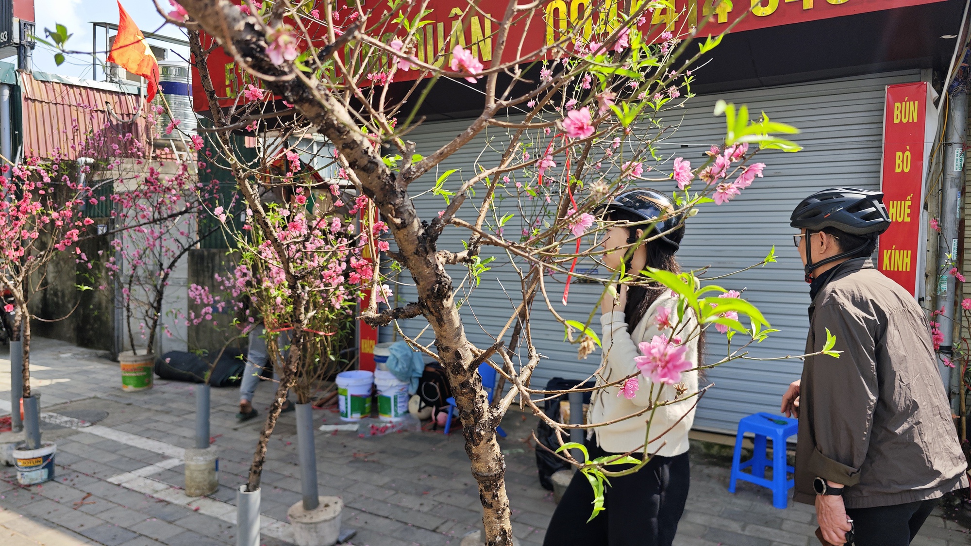 Chợ hoa 29 Tết: Tiểu thương hạ gi&aacute; trước giờ G, kh&ocirc;ng c&ograve;n cảnh 