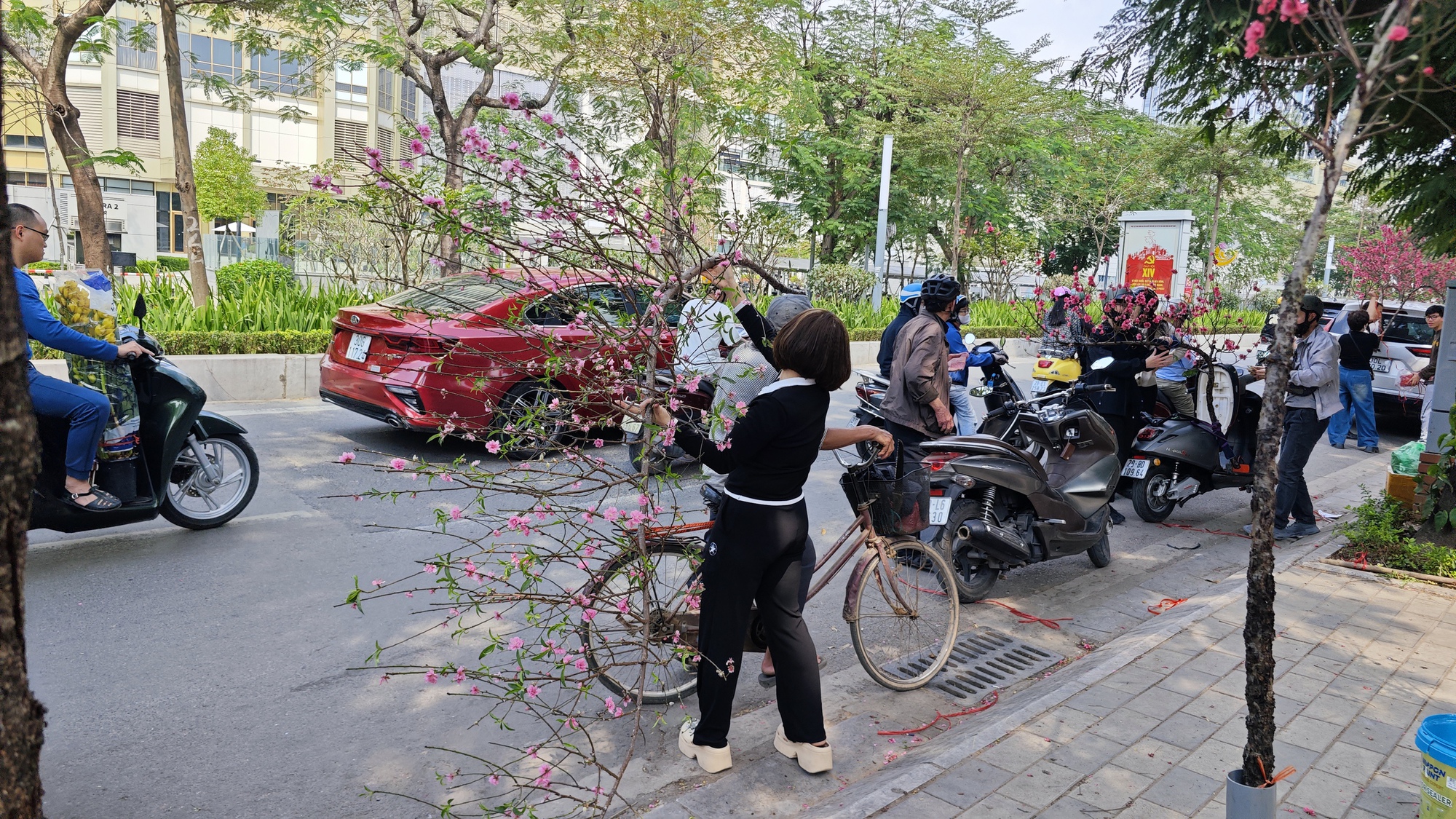 Chợ hoa 29 Tết: Tiểu thương hạ gi&aacute; trước giờ G, kh&ocirc;ng c&ograve;n cảnh 