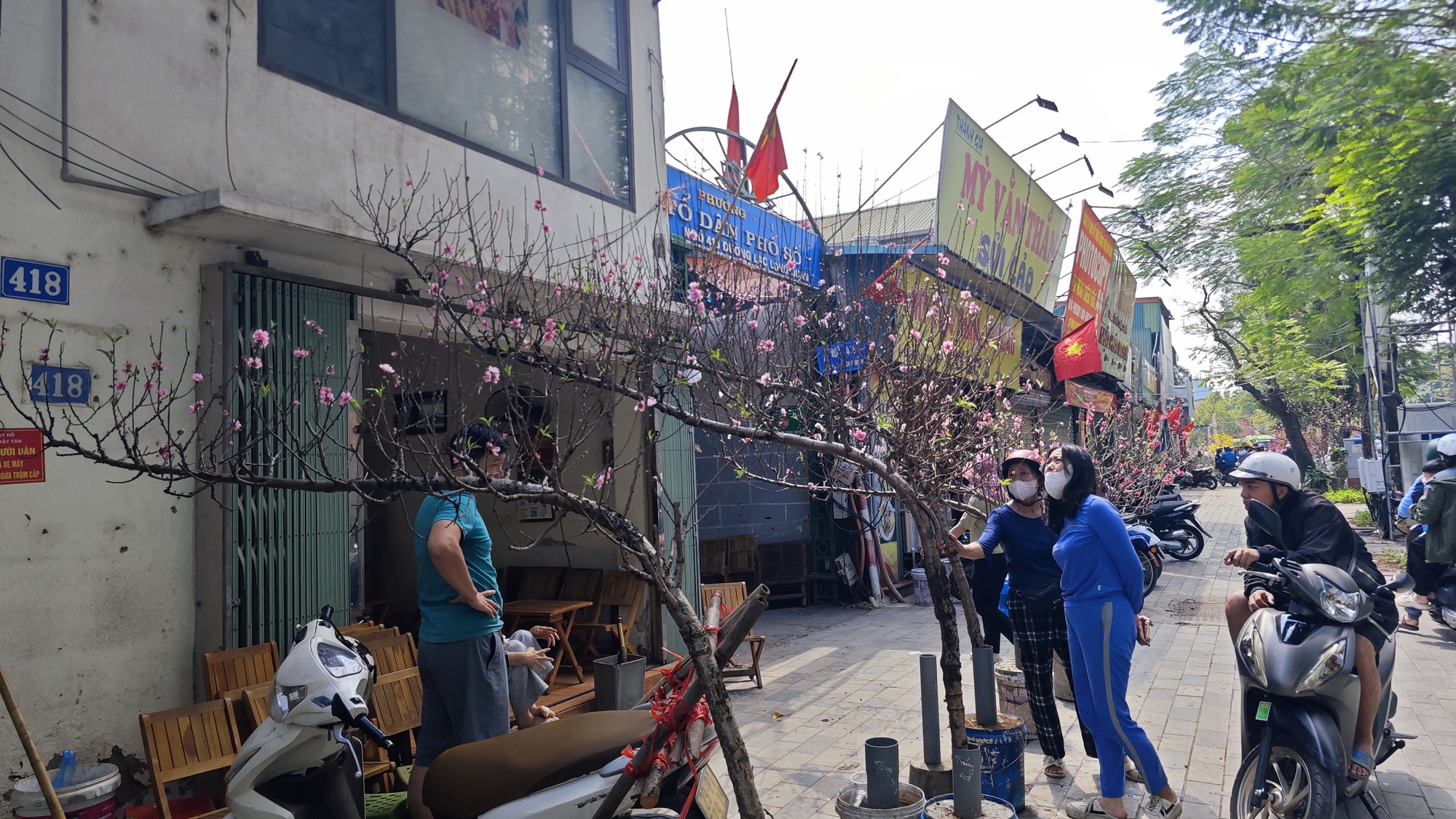 Chợ hoa 29 Tết: Tiểu thương hạ gi&aacute; trước giờ G, kh&ocirc;ng c&ograve;n cảnh 