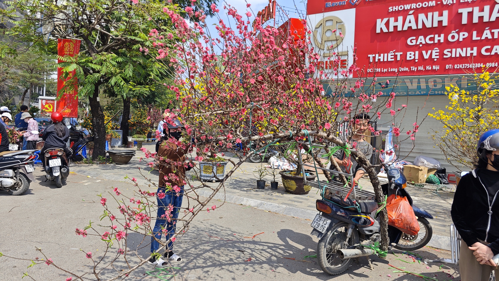 Chợ hoa 29 Tết: Tiểu thương hạ gi&aacute; trước giờ G, kh&ocirc;ng c&ograve;n cảnh 