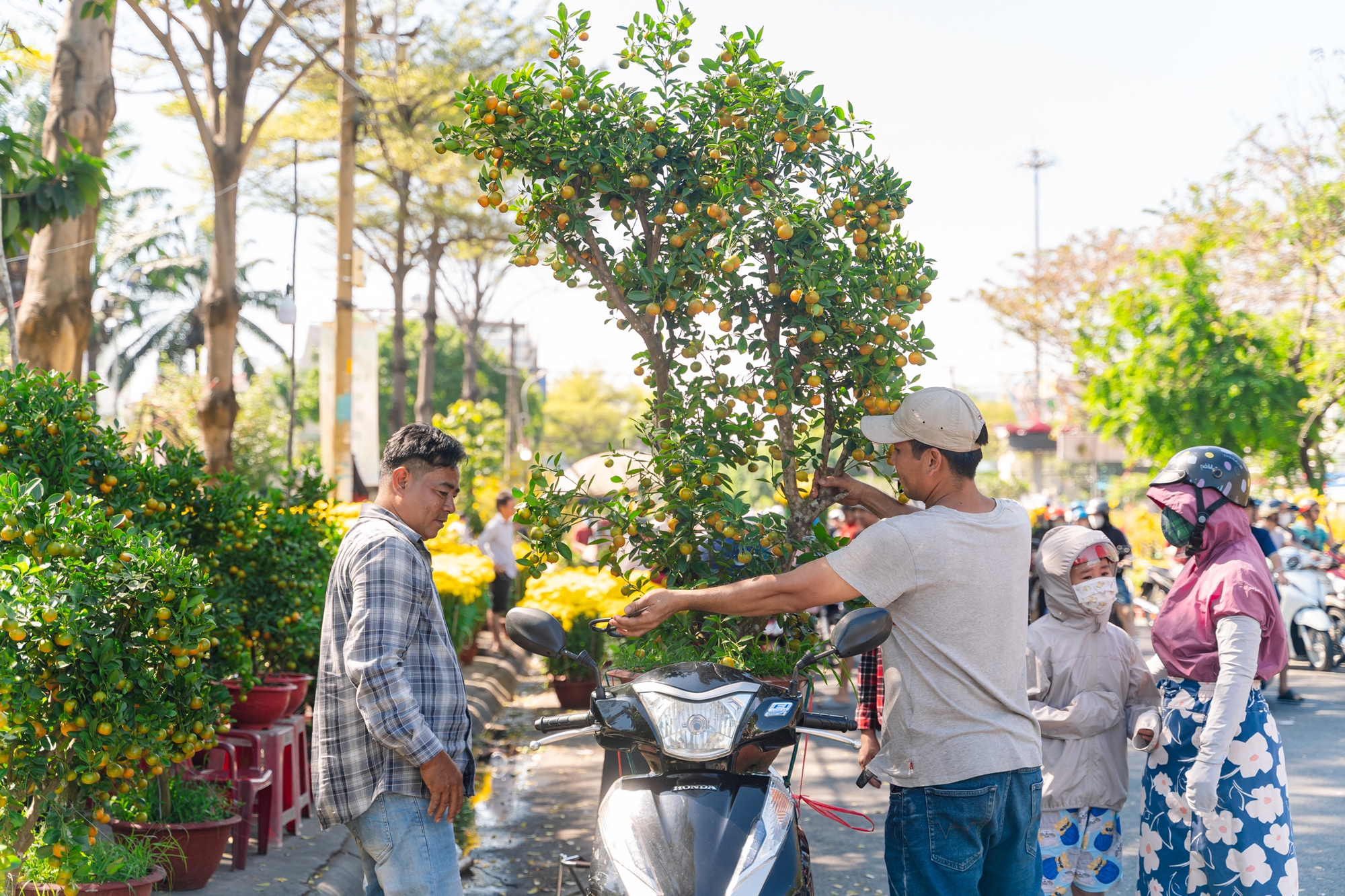 Trưa 29 Tết: Tiểu thương b&aacute;n vội, kh&aacute;ch mua nhanh, chợ hoa TP.HCM nhộn nhịp ph&uacute;t cuối- Ảnh 3.