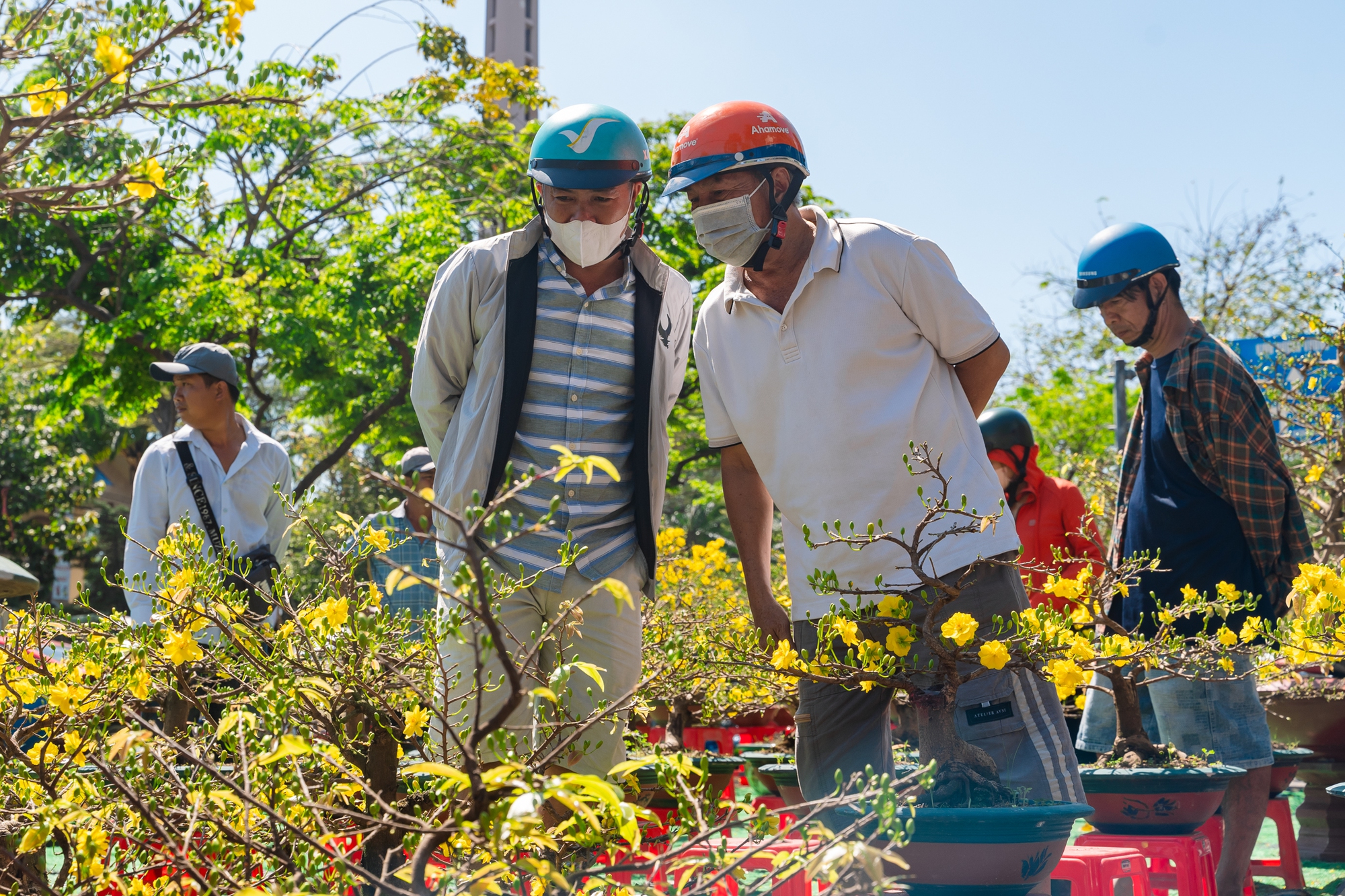Trưa 29 Tết: Tiểu thương b&aacute;n vội, kh&aacute;ch mua nhanh, chợ hoa TP.HCM nhộn nhịp ph&uacute;t cuối- Ảnh 7.