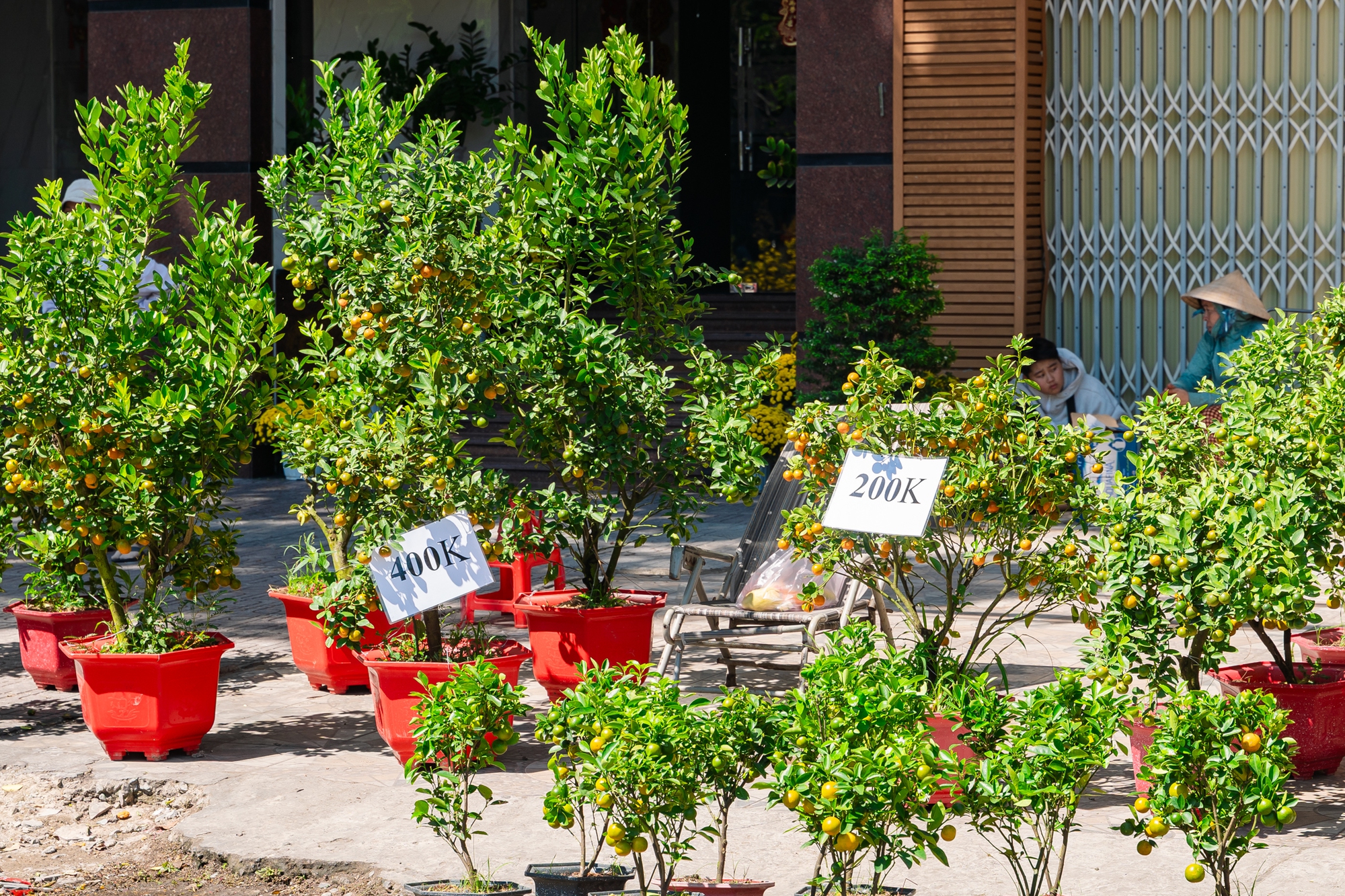 Trưa 29 Tết: Tiểu thương b&aacute;n vội, kh&aacute;ch mua nhanh, chợ hoa TP.HCM nhộn nhịp ph&uacute;t cuối- Ảnh 13.