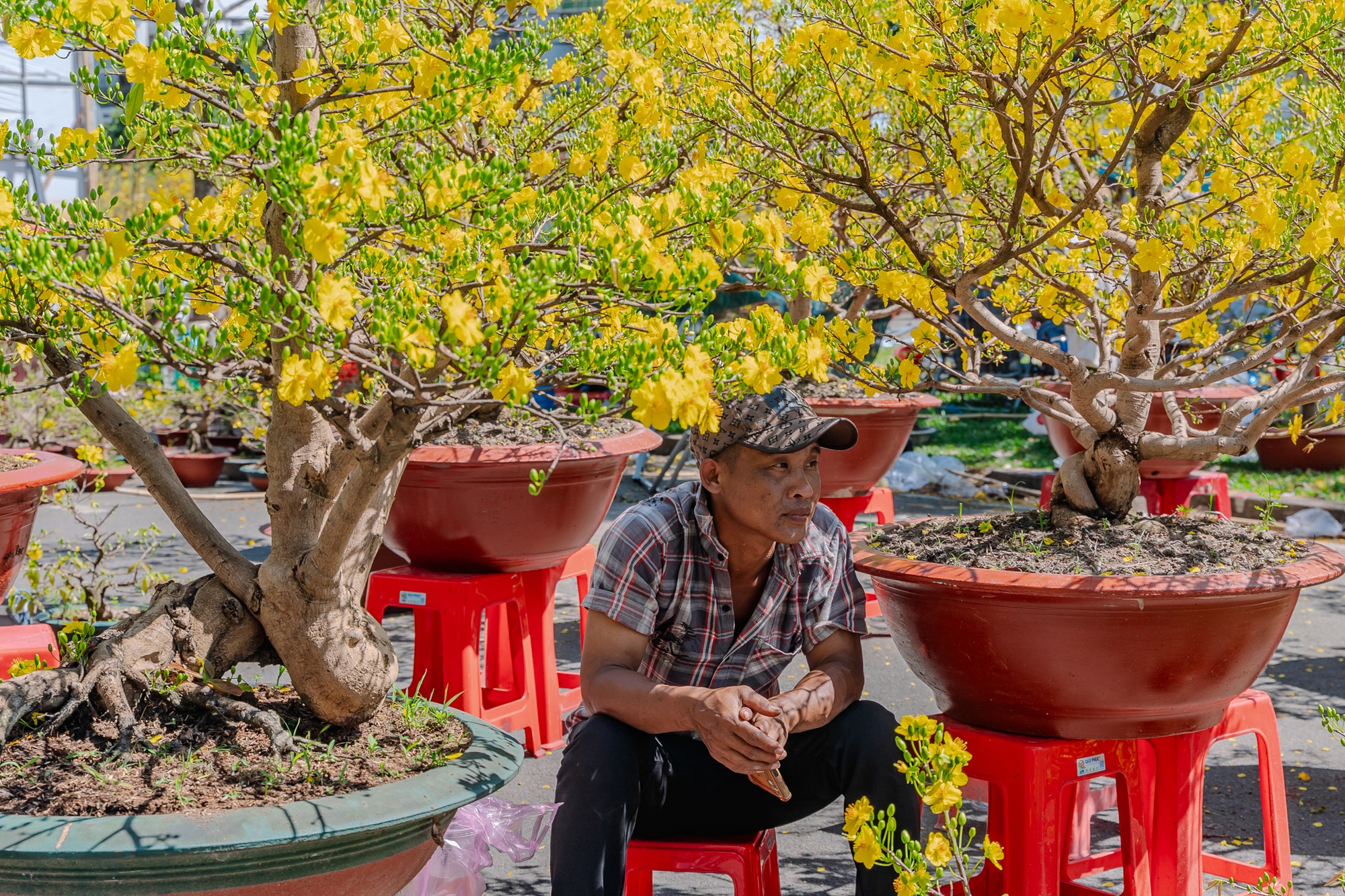 Trưa 29 Tết: Tiểu thương b&aacute;n vội, kh&aacute;ch mua nhanh, chợ hoa TP.HCM nhộn nhịp ph&uacute;t cuối- Ảnh 5.