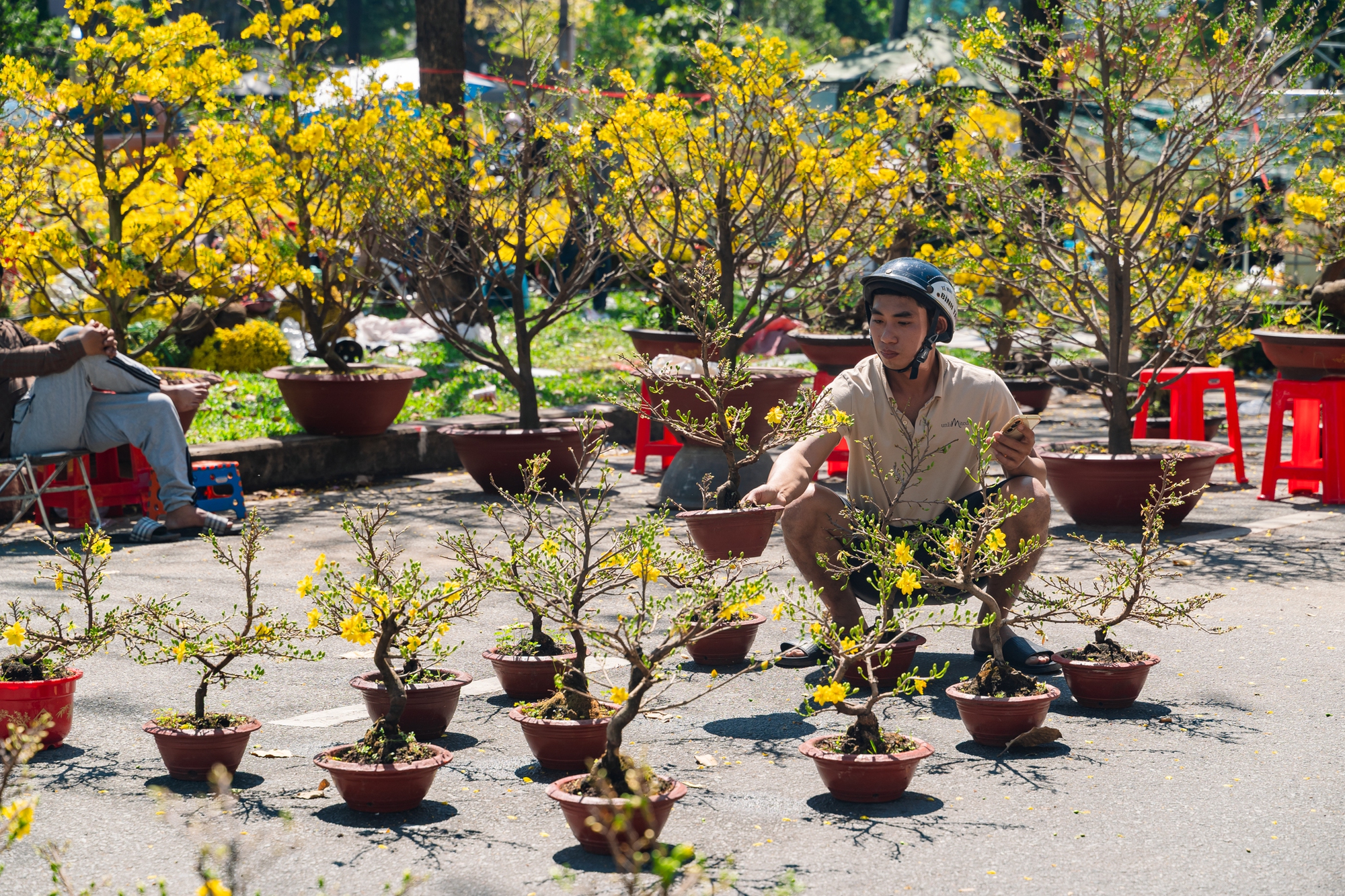 Trưa 29 Tết: Tiểu thương b&aacute;n vội, kh&aacute;ch mua nhanh, chợ hoa TP.HCM nhộn nhịp ph&uacute;t cuối- Ảnh 6.