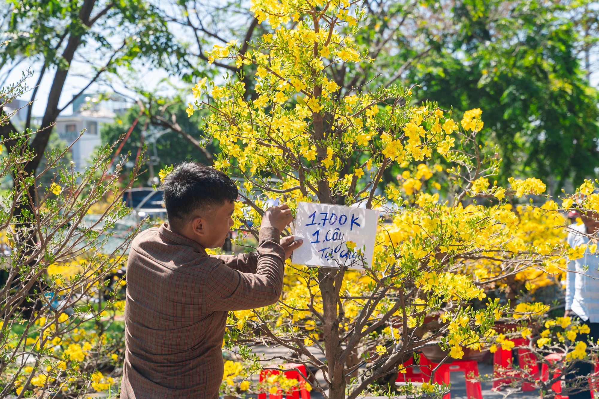 Trưa 29 Tết: Tiểu thương b&aacute;n vội, kh&aacute;ch mua nhanh, chợ hoa TP.HCM nhộn nhịp ph&uacute;t cuối- Ảnh 9.