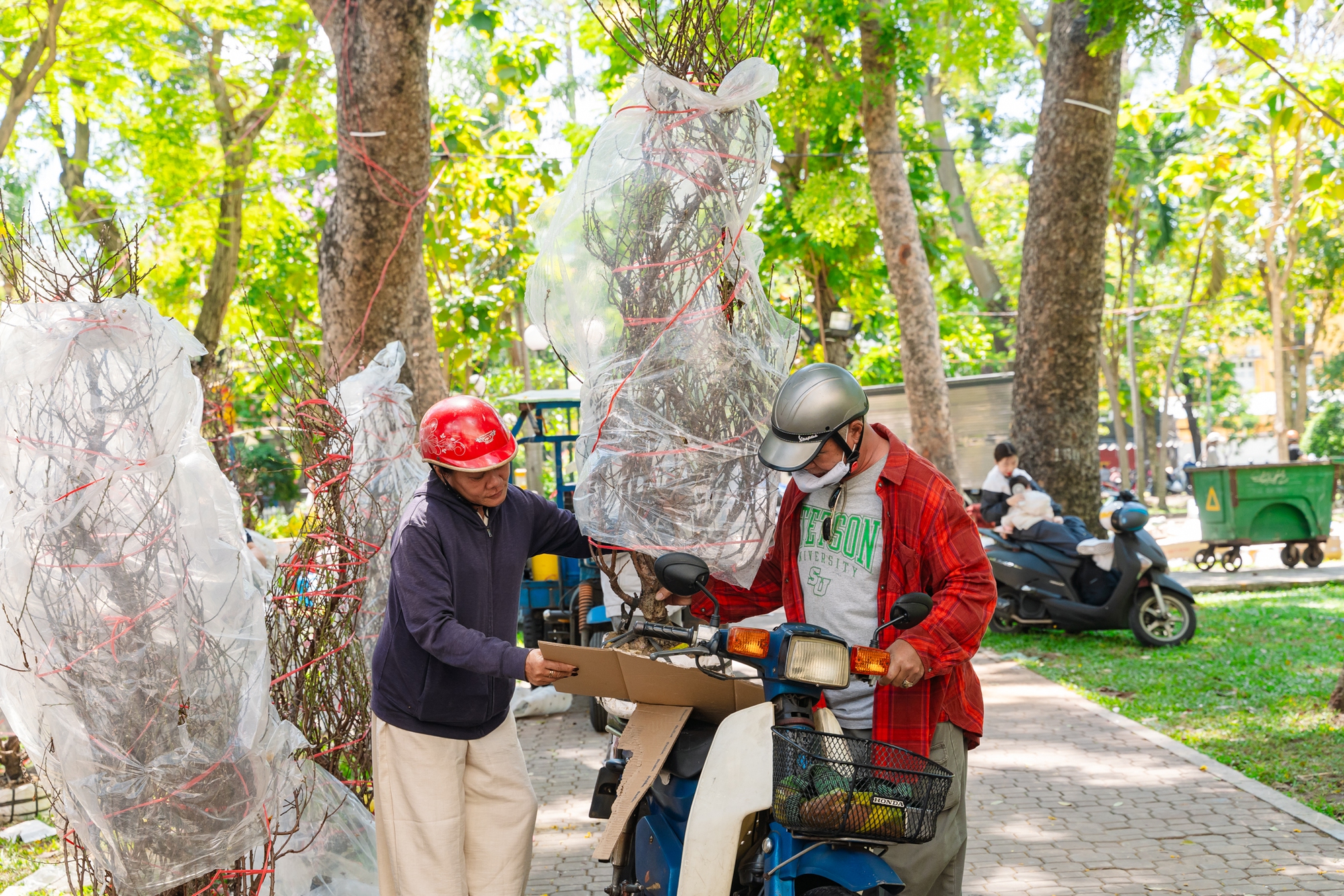 Trưa 29 Tết: Tiểu thương b&aacute;n vội, kh&aacute;ch mua nhanh, chợ hoa TP.HCM nhộn nhịp ph&uacute;t cuối- Ảnh 16.