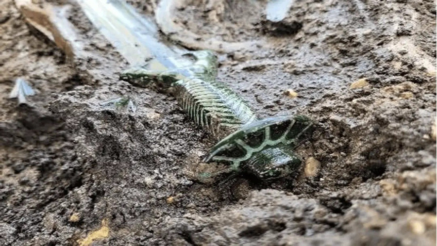 Thanh kiếm 8 cạnh 3.400 năm tuổi h&eacute; lộ b&iacute; mật độc đ&aacute;o- Ảnh 1.