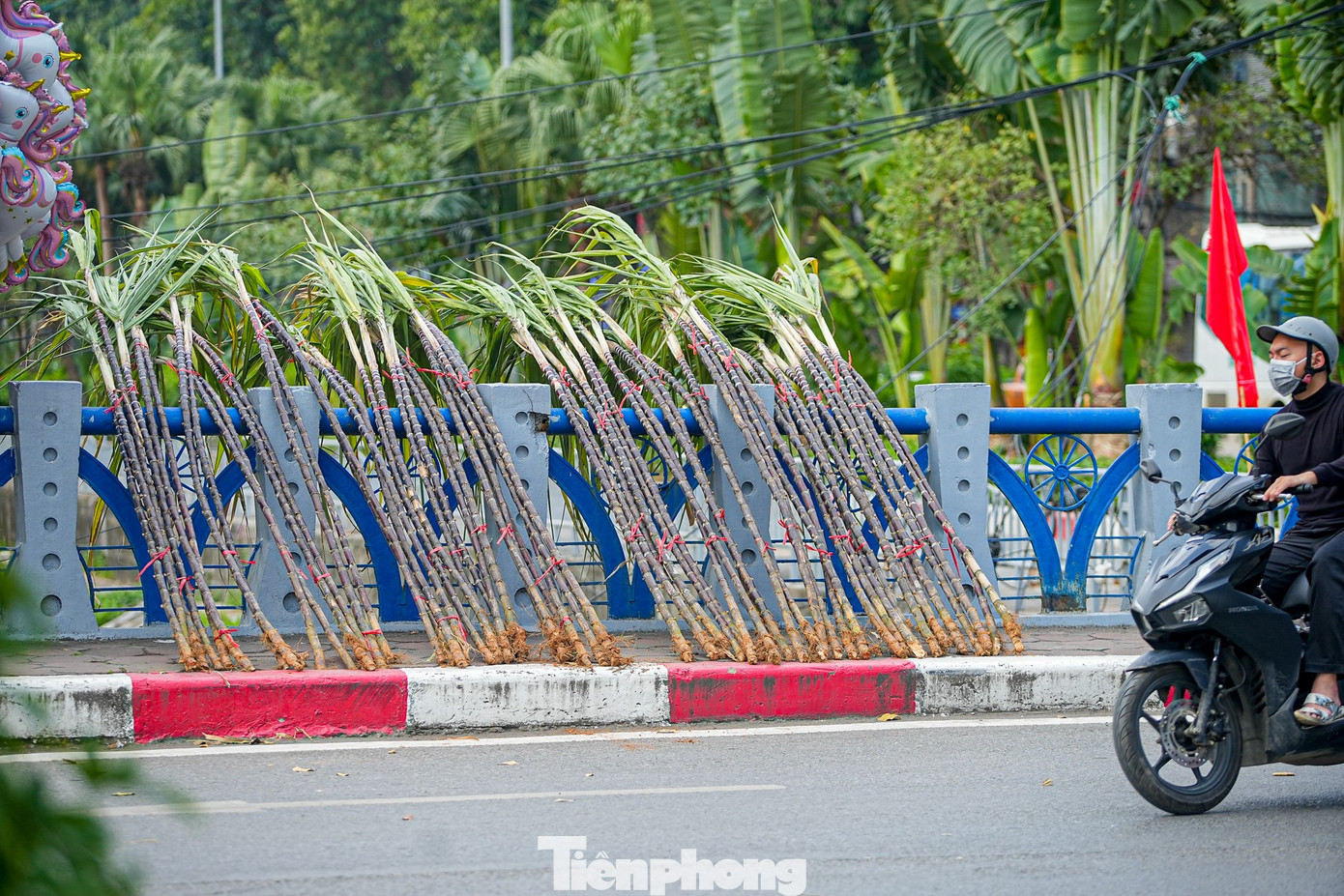 M&iacute;a lộc thắt nơ đỏ đổ bộ đường phố H&agrave; Nội chờ Giao thừa- Ảnh 11.