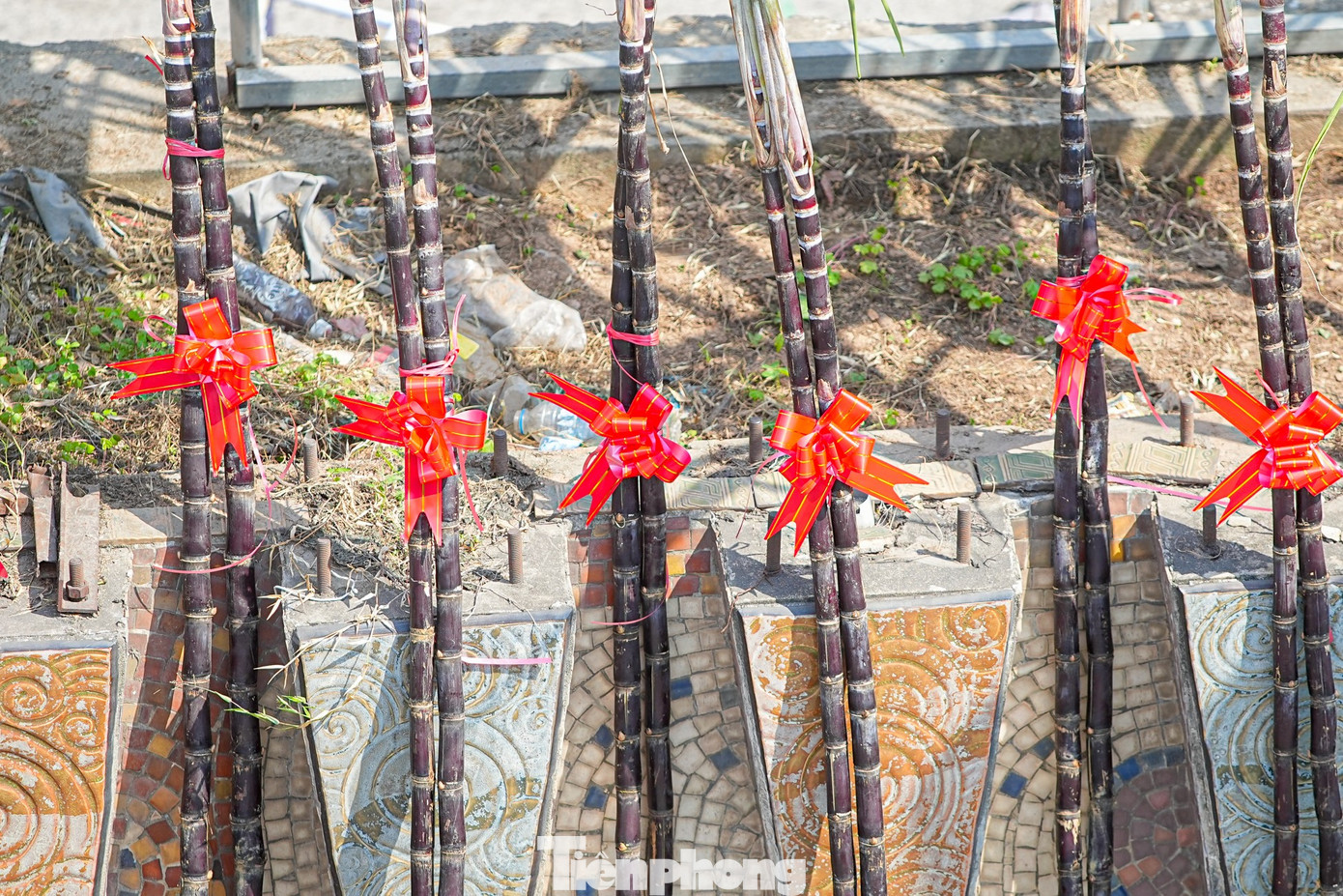 M&iacute;a lộc thắt nơ đỏ đổ bộ đường phố H&agrave; Nội chờ Giao thừa- Ảnh 4.