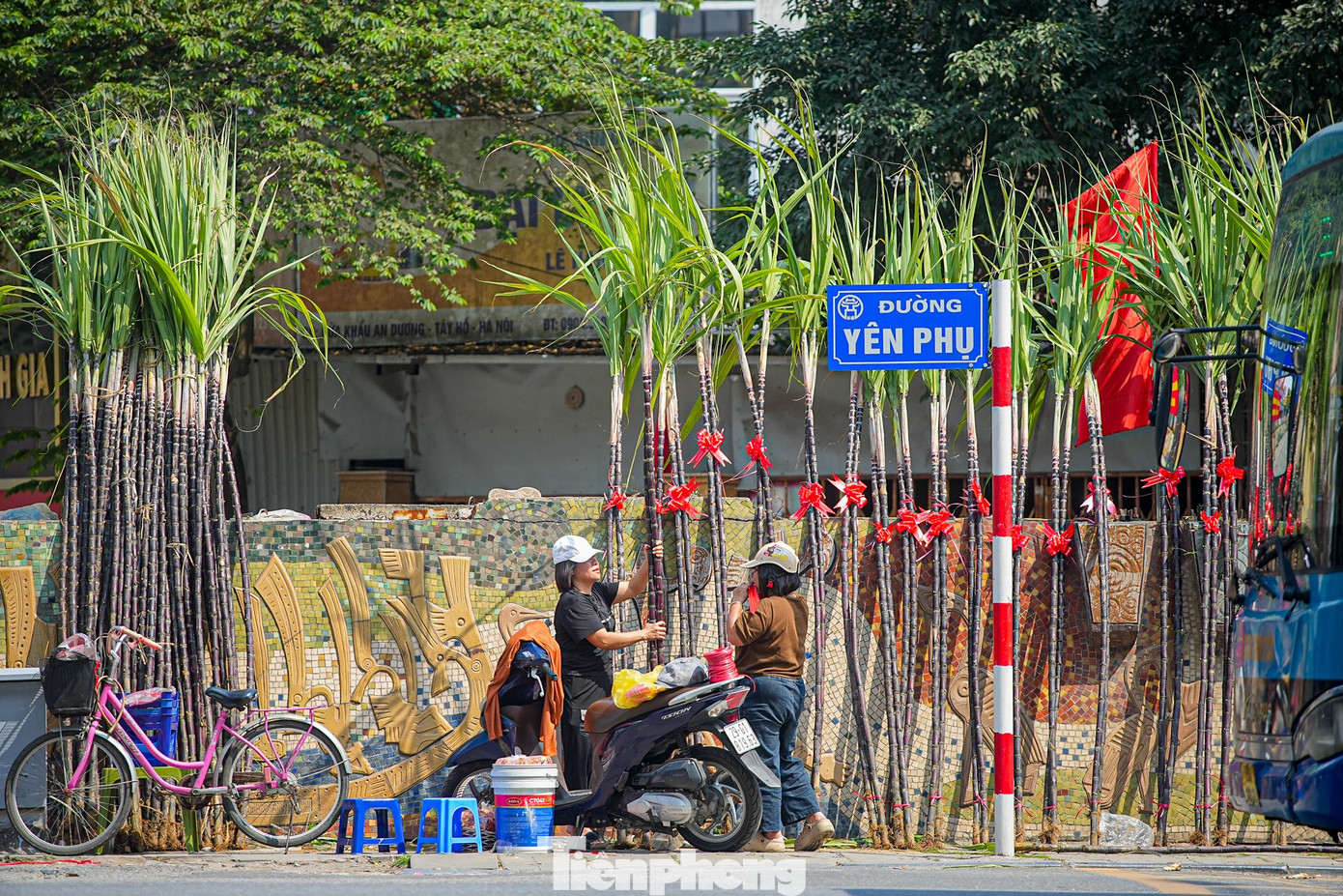 M&iacute;a lộc thắt nơ đỏ đổ bộ đường phố H&agrave; Nội chờ Giao thừa- Ảnh 2.