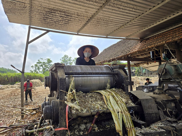 Nghệ An: Làng nấu mật mía xã Nghĩa Hành tất bật ngày giáp Tết- Ảnh 5. Nghệ An: Làng nấu mật mía xã Nghĩa Hành tất bật ngày giáp Tết- Ảnh 5.