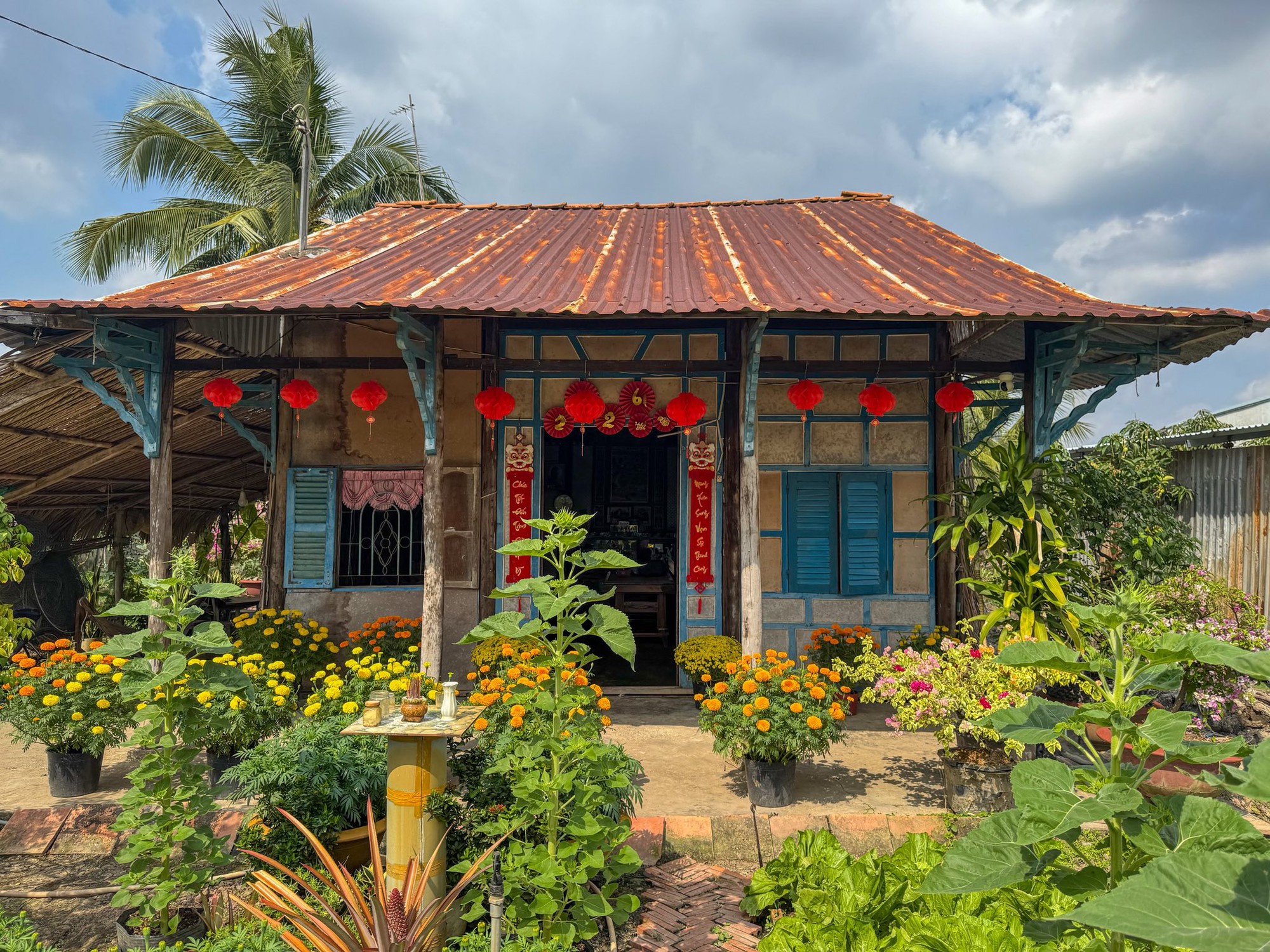 M&ugrave;ng 1 Tết, gh&eacute; thăm căn nh&agrave; miền T&acirc;y với kh&ocirc;ng kh&iacute; đầu năm ngập sắc xu&acirc;n: Hoa nở k&iacute;n hi&ecirc;n, tr&aacute;i trĩu c&agrave;nh- Ảnh 5.