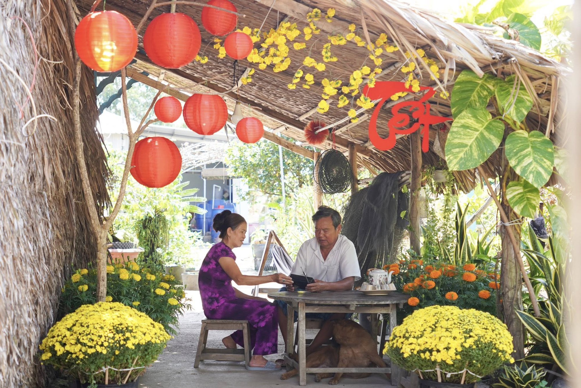 M&ugrave;ng 1 Tết, gh&eacute; thăm căn nh&agrave; miền T&acirc;y với kh&ocirc;ng kh&iacute; đầu năm ngập sắc xu&acirc;n: Hoa nở k&iacute;n hi&ecirc;n, tr&aacute;i trĩu c&agrave;nh- Ảnh 6.