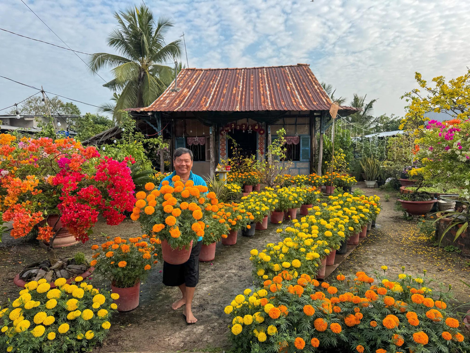 M&ugrave;ng 1 Tết, gh&eacute; thăm căn nh&agrave; miền T&acirc;y với kh&ocirc;ng kh&iacute; đầu năm ngập sắc xu&acirc;n: Hoa nở k&iacute;n hi&ecirc;n, tr&aacute;i trĩu c&agrave;nh- Ảnh 7.