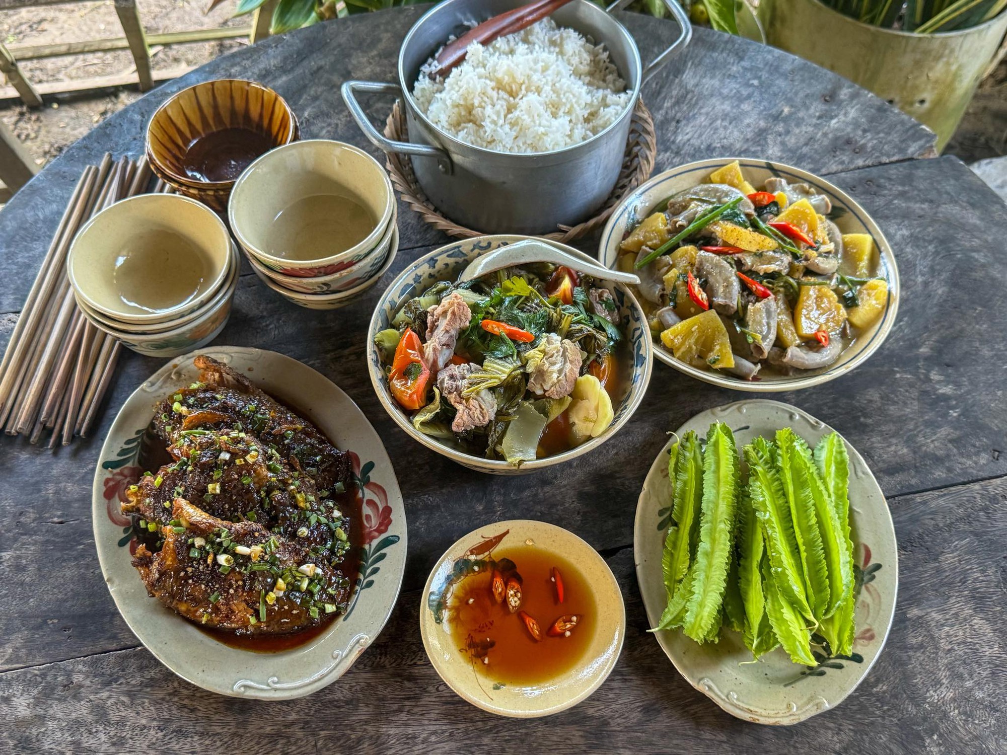 M&ugrave;ng 1 Tết, gh&eacute; thăm căn nh&agrave; miền T&acirc;y với kh&ocirc;ng kh&iacute; đầu năm ngập sắc xu&acirc;n: Hoa nở k&iacute;n hi&ecirc;n, tr&aacute;i trĩu c&agrave;nh- Ảnh 19.