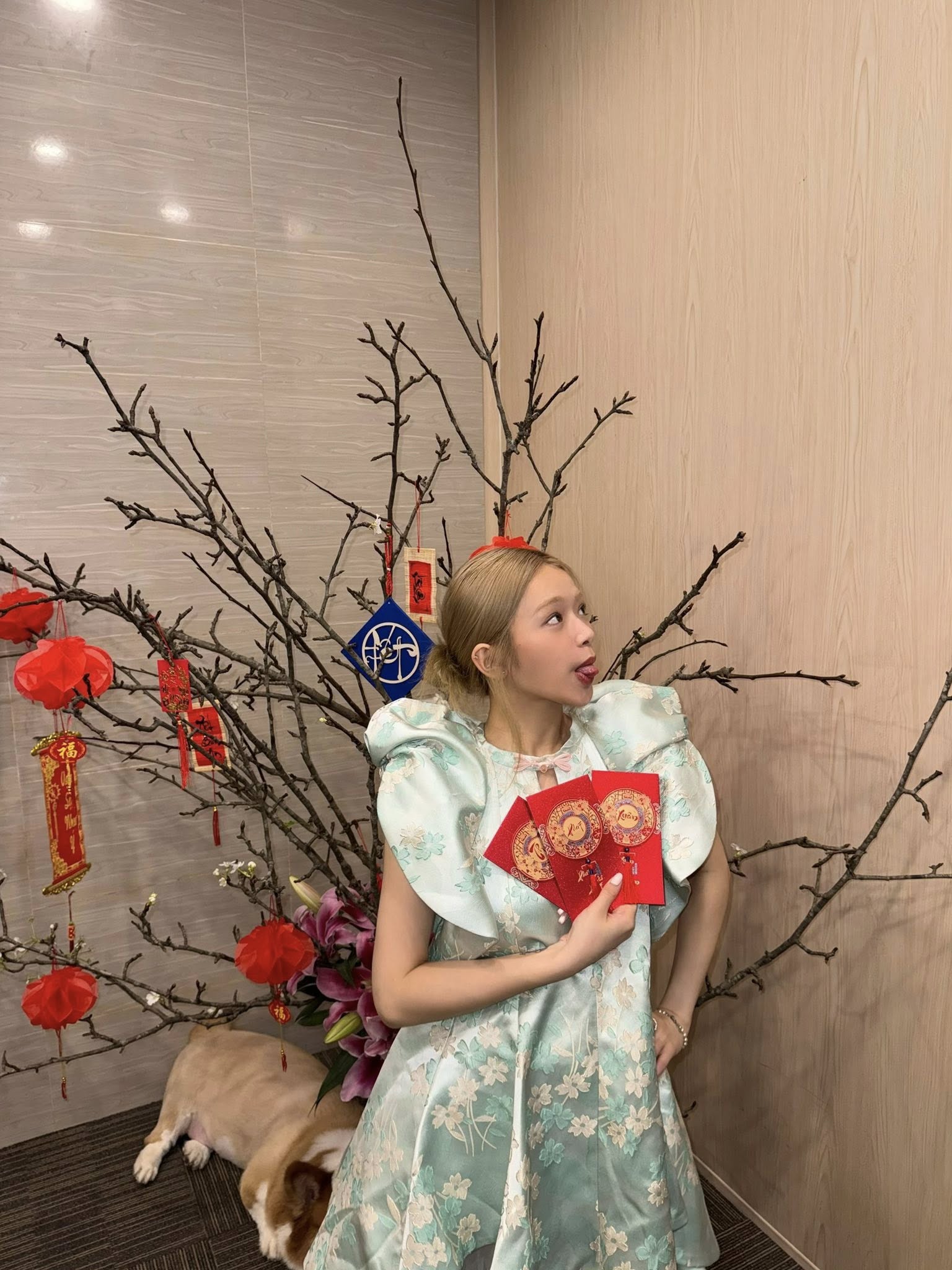 Mùng 1 Tết, cả Việt Nam diện áo dài đẹp điên 10 điểm- Ảnh 23.