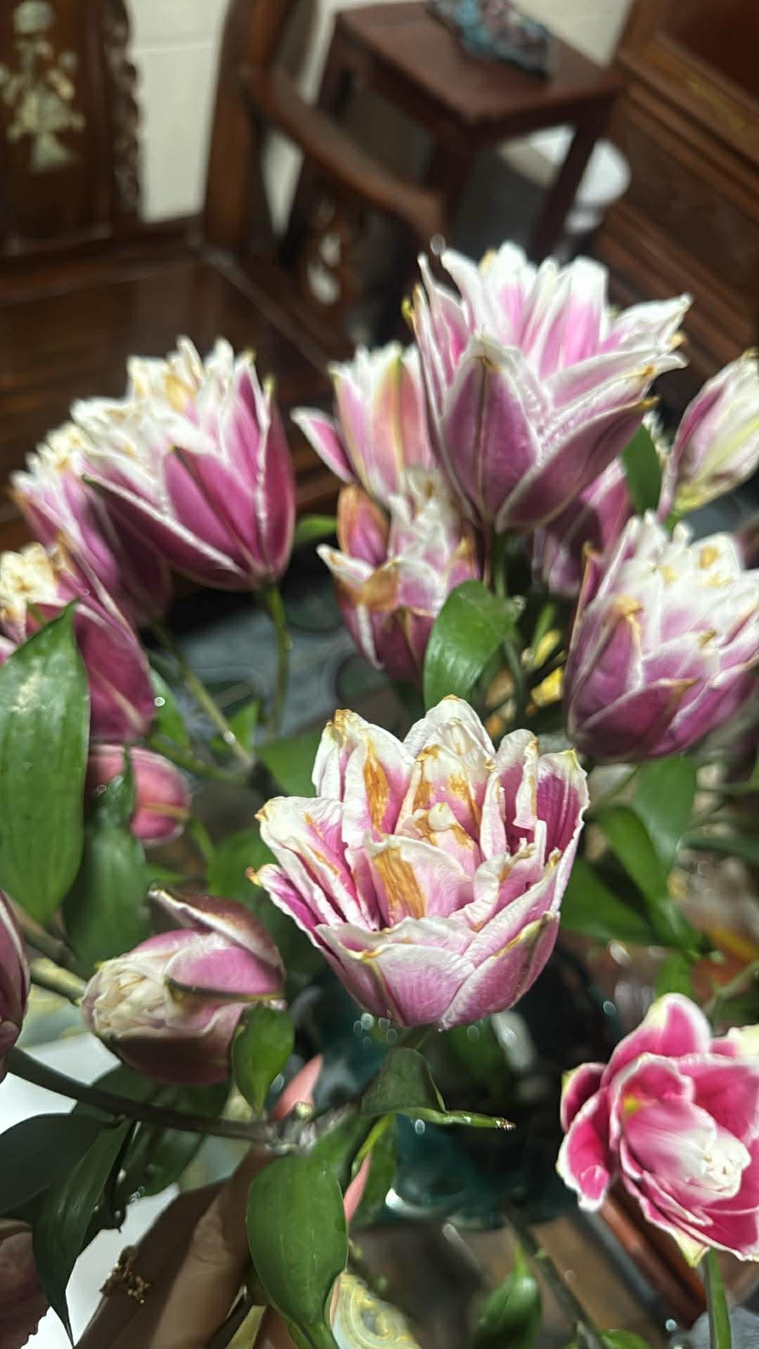 "Kiếp nạn" cắm hoa ly k&eacute;p ng&agrave;y Tết: 3 năm đều bị ch&aacute;y c&aacute;nh tịt ng&ograve;i, hội chị em b&oacute;c trần nguy&ecirc;n nh&acirc;n v&agrave; hiến kế chọn hoa bất bại- Ảnh 7.