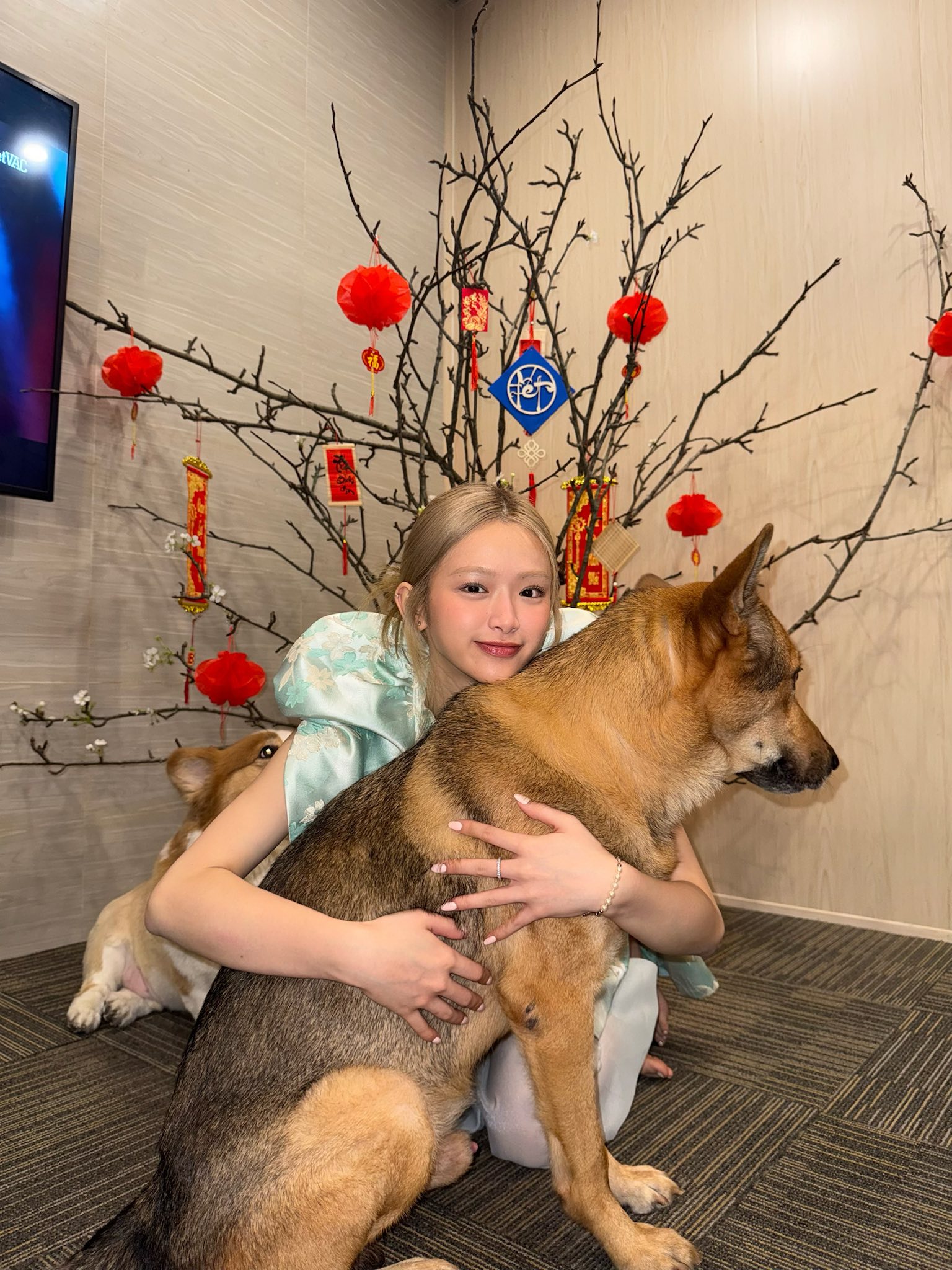 Mùng 1 Tết, cả Việt Nam diện áo dài đẹp điên 10 điểm- Ảnh 22.