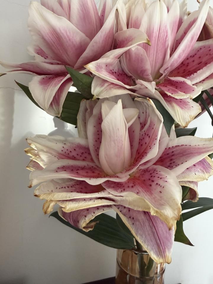 "Kiếp nạn" cắm hoa ly k&eacute;p ng&agrave;y Tết: 3 năm đều bị ch&aacute;y c&aacute;nh tịt ng&ograve;i, hội chị em b&oacute;c trần nguy&ecirc;n nh&acirc;n v&agrave; hiến kế chọn hoa bất bại- Ảnh 4.