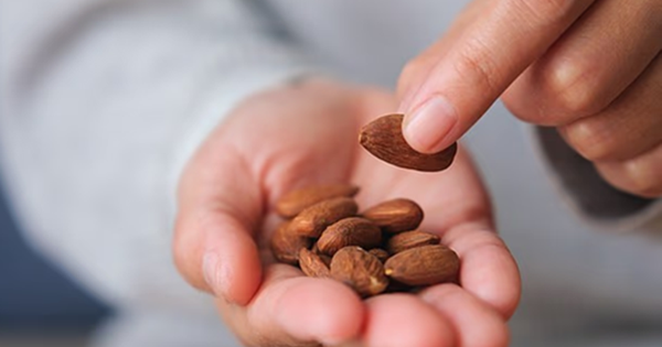 Loại hạt quen thuộc mỗi dịp Tết của người Việt, nay được khoa học coi l&agrave; &ldquo;si&ecirc;u thực phẩm&rdquo; bảo vệ n&atilde;o bộ, tim mạch