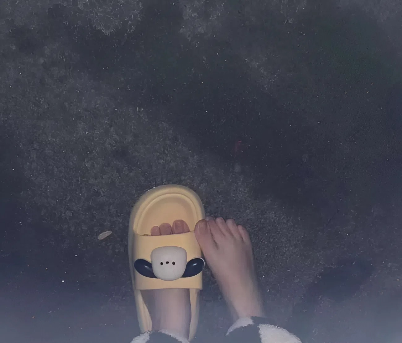 Nữ sinh năm cuối bị mẹ đuổi khỏi nh&agrave; ngay m&ugrave;ng 1 Tết, em trai mừng ra mặt?- Ảnh 1.