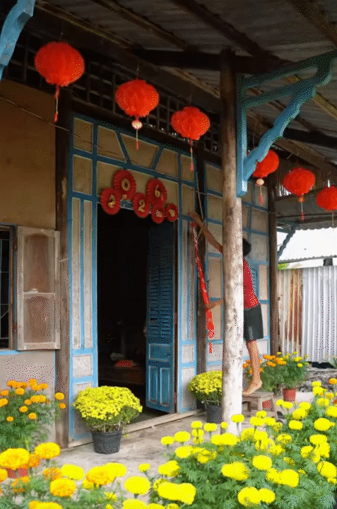 M&ugrave;ng 1 Tết, gh&eacute; thăm căn nh&agrave; miền T&acirc;y với kh&ocirc;ng kh&iacute; đầu năm ngập sắc xu&acirc;n: Hoa nở k&iacute;n hi&ecirc;n, tr&aacute;i trĩu c&agrave;nh- Ảnh 1.