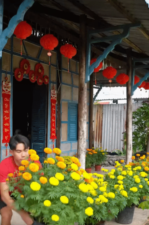 M&ugrave;ng 1 Tết, gh&eacute; thăm căn nh&agrave; miền T&acirc;y với kh&ocirc;ng kh&iacute; đầu năm ngập sắc xu&acirc;n: Hoa nở k&iacute;n hi&ecirc;n, tr&aacute;i trĩu c&agrave;nh- Ảnh 2.