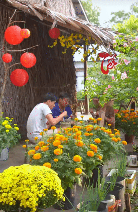 M&ugrave;ng 1 Tết, gh&eacute; thăm căn nh&agrave; miền T&acirc;y với kh&ocirc;ng kh&iacute; đầu năm ngập sắc xu&acirc;n: Hoa nở k&iacute;n hi&ecirc;n, tr&aacute;i trĩu c&agrave;nh- Ảnh 8.
