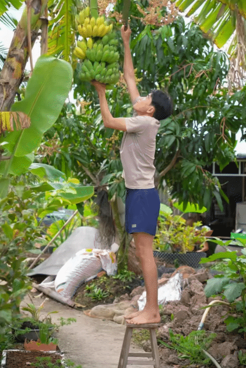 M&ugrave;ng 1 Tết, gh&eacute; thăm căn nh&agrave; miền T&acirc;y với kh&ocirc;ng kh&iacute; đầu năm ngập sắc xu&acirc;n: Hoa nở k&iacute;n hi&ecirc;n, tr&aacute;i trĩu c&agrave;nh- Ảnh 13.