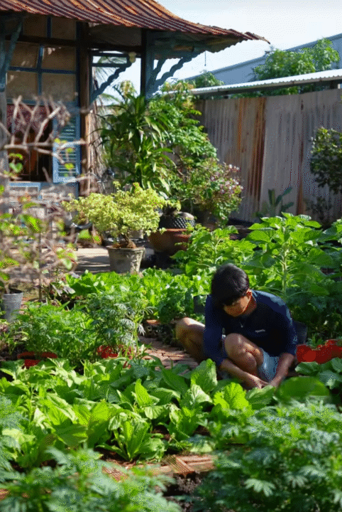 M&ugrave;ng 1 Tết, gh&eacute; thăm căn nh&agrave; miền T&acirc;y với kh&ocirc;ng kh&iacute; đầu năm ngập sắc xu&acirc;n: Hoa nở k&iacute;n hi&ecirc;n, tr&aacute;i trĩu c&agrave;nh- Ảnh 14.