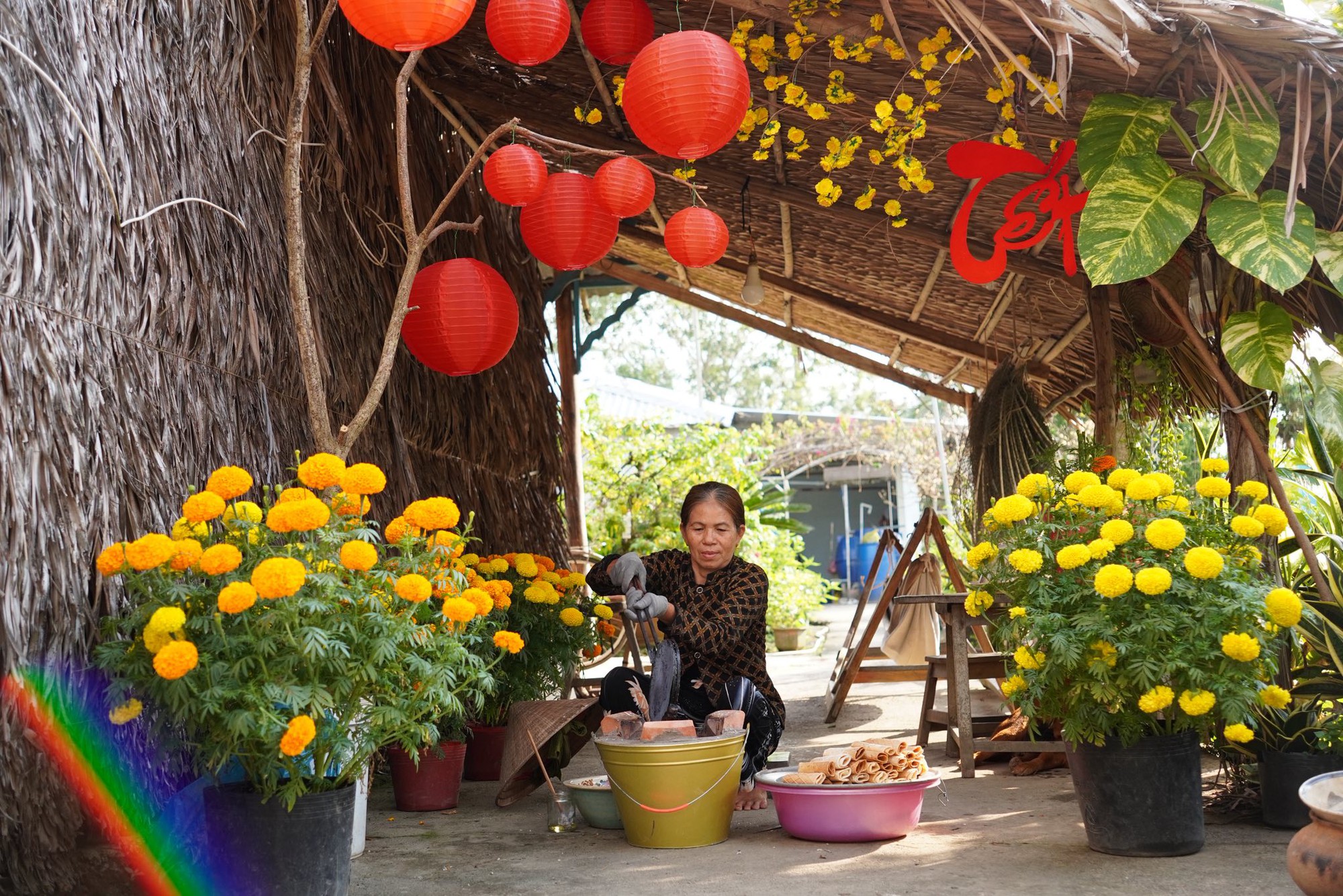 M&ugrave;ng 1 Tết, gh&eacute; thăm căn nh&agrave; miền T&acirc;y với kh&ocirc;ng kh&iacute; đầu năm ngập sắc xu&acirc;n: Hoa nở k&iacute;n hi&ecirc;n, tr&aacute;i trĩu c&agrave;nh- Ảnh 12.
