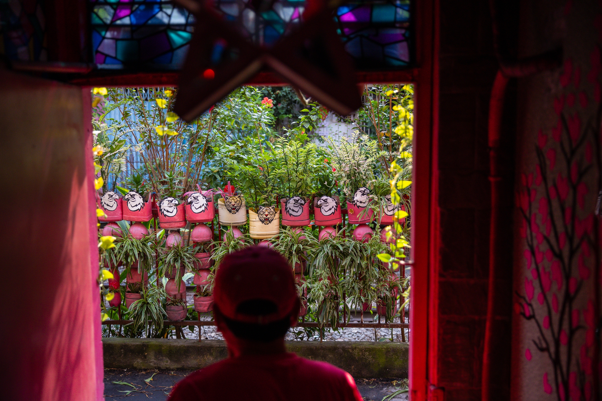 Người đ&agrave;n &ocirc;ng một m&igrave;nh đ&oacute;n giao thừa trong căn nh&agrave; to&agrave;n m&agrave;u hồng ở TP.HCM: "Ngồi pha ly c&agrave; ph&ecirc; nh&igrave;n người ta đi lại, vậy l&agrave; Tết rồi&rdquo;- Ảnh 11.