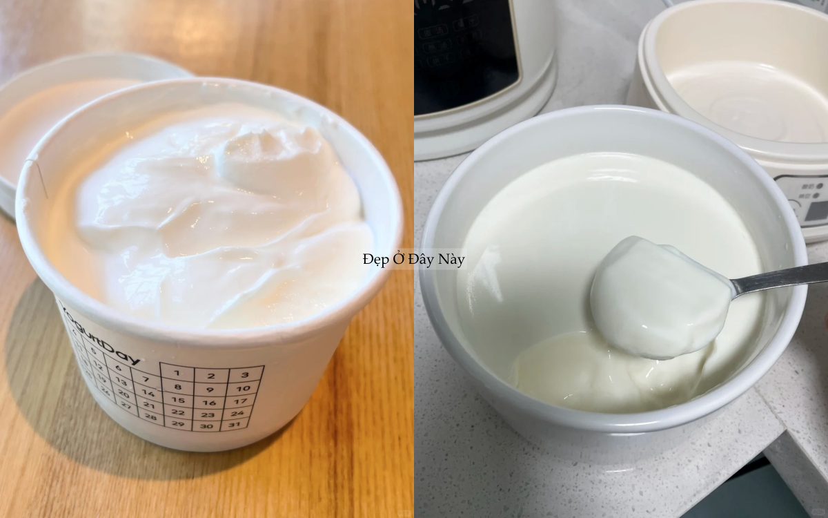 5 m&oacute;n ăn vặt ng&agrave;y Tết đẹp cả da lẫn d&aacute;ng: Vừa chống l&atilde;o h&oacute;a vừa gi&uacute;p giảm c&acirc;n hiệu quả- Ảnh 6.