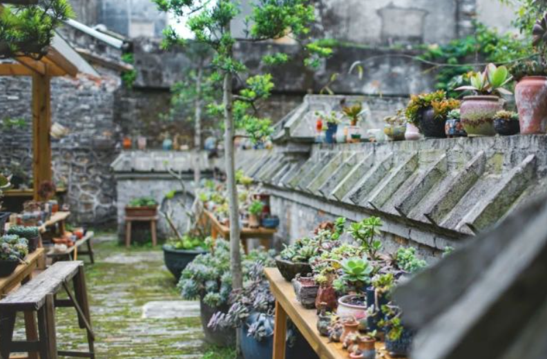 Đại gia chi tiền khủng mua mảnh đất rộng 30.000m2 để xây “công trình để đời”: Hơn 20 năm vẫn chưa hoàn thành- Ảnh 5. Đại gia chi tiền khủng mua mảnh đất rộng 30.000m2 để xây “công trình để đời”: Hơn 20 năm vẫn chưa hoàn thành- Ảnh 5.