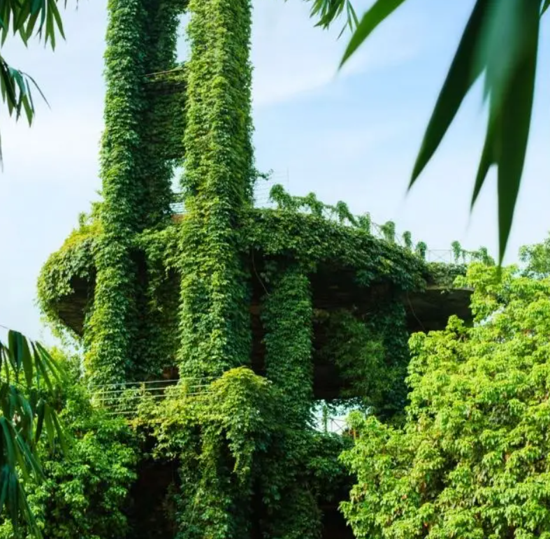 Đại gia chi tiền khủng mua mảnh đất rộng 30.000m2 để xây “công trình để đời”: Hơn 20 năm vẫn chưa hoàn thành- Ảnh 4. Đại gia chi tiền khủng mua mảnh đất rộng 30.000m2 để xây “công trình để đời”: Hơn 20 năm vẫn chưa hoàn thành- Ảnh 4.