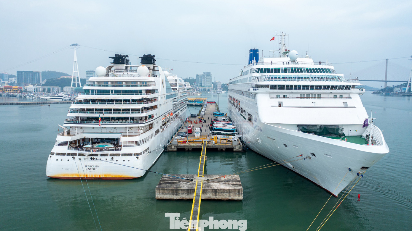T&agrave;u biển quốc tế chở gần 2.400 kh&aacute;ch du lịch Quảng Ninh m&ugrave;ng 1 Tết- Ảnh 13.