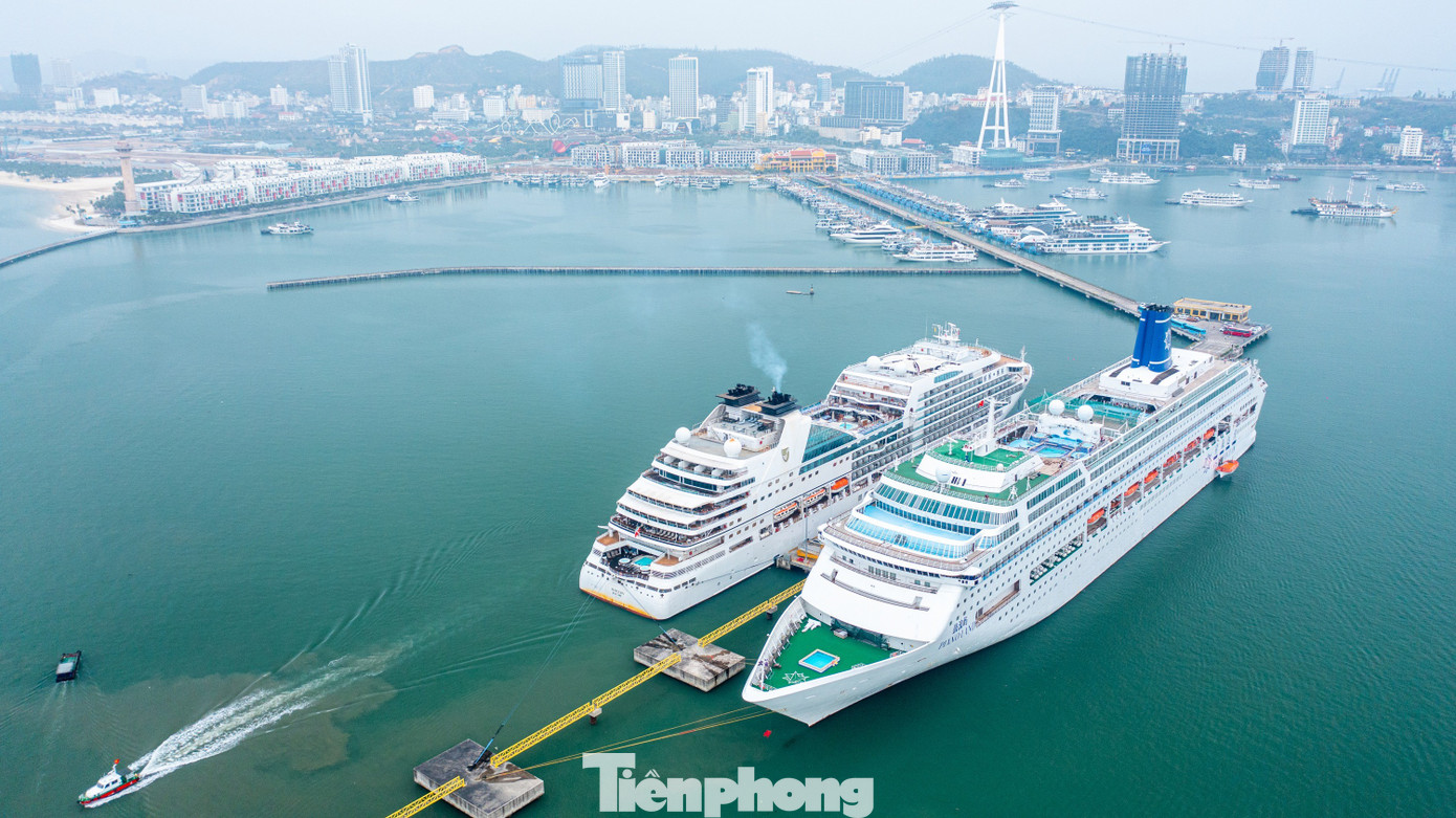 T&agrave;u biển quốc tế chở gần 2.400 kh&aacute;ch du lịch Quảng Ninh m&ugrave;ng 1 Tết- Ảnh 1.