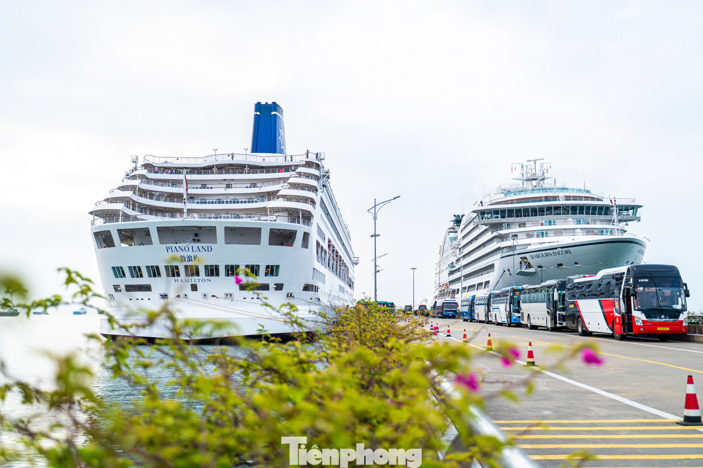 T&agrave;u biển quốc tế chở gần 2.400 kh&aacute;ch du lịch Quảng Ninh m&ugrave;ng 1 Tết- Ảnh 4.