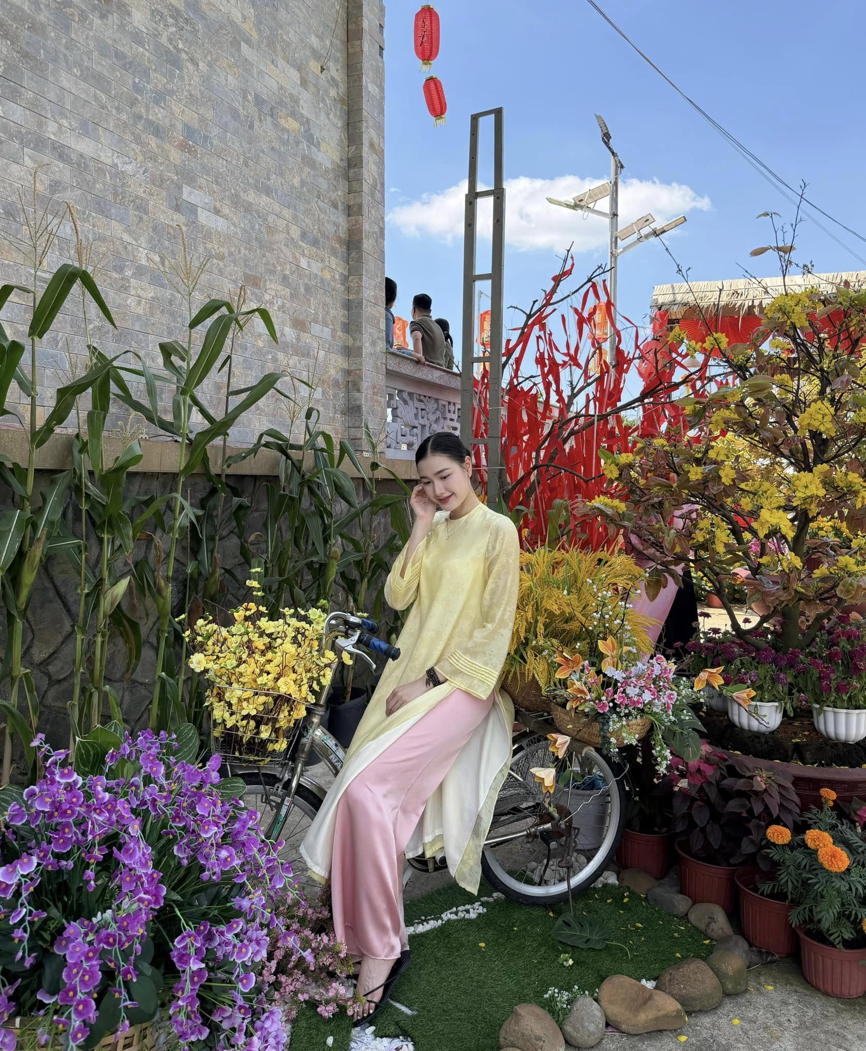 Mê mẩn nhan sắc dàn Mê mẩn nhan sắc dàn