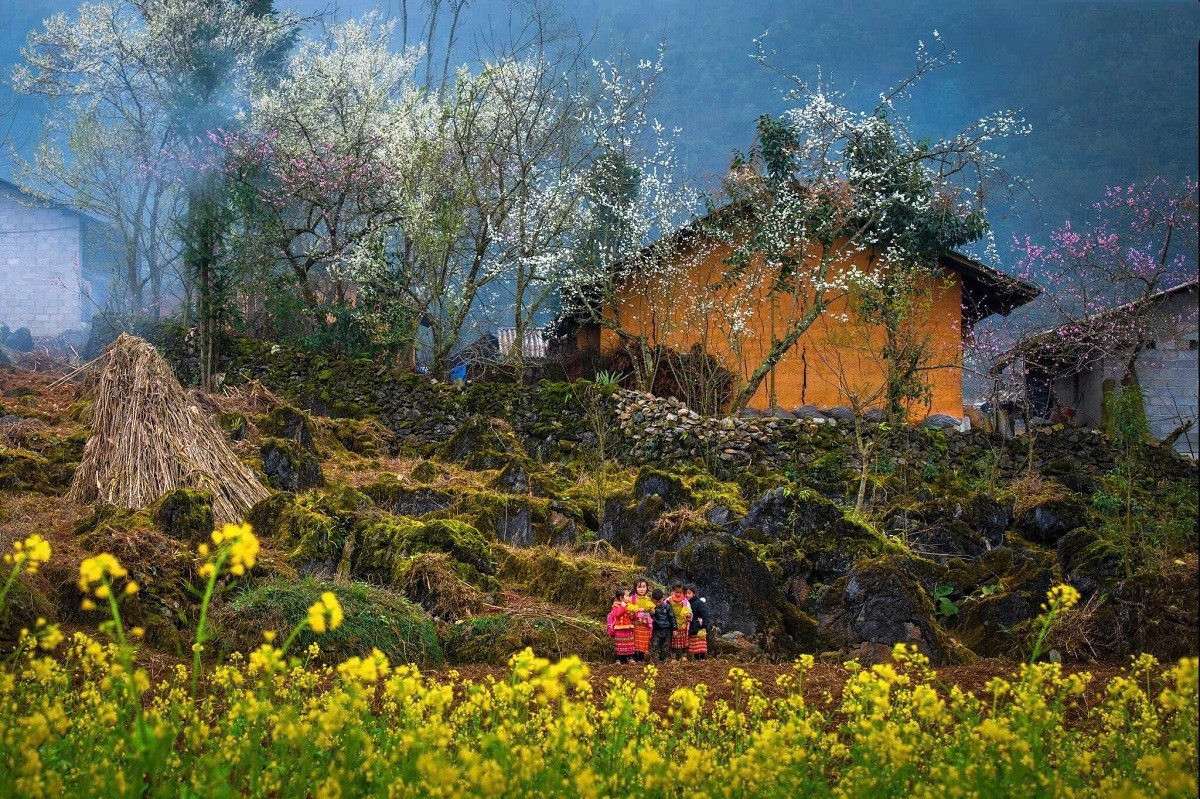 Lạc bước giữa những m&agrave;u hoa sặc sỡ ở cao nguy&ecirc;n Đồng Văn- Ảnh 9.