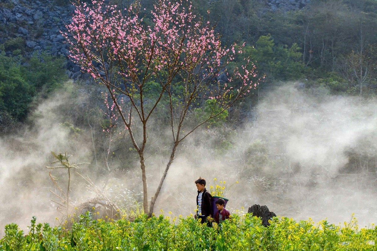 Lạc bước giữa những m&agrave;u hoa sặc sỡ ở cao nguy&ecirc;n Đồng Văn- Ảnh 3.