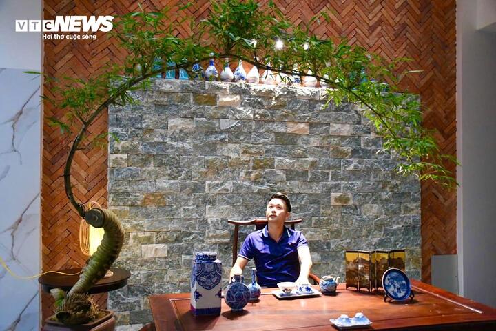 &ldquo;H&ocirc; biến&rdquo; gốc tre th&agrave;nh t&aacute;c phẩm bonsai độc đ&aacute;o- Ảnh 1.