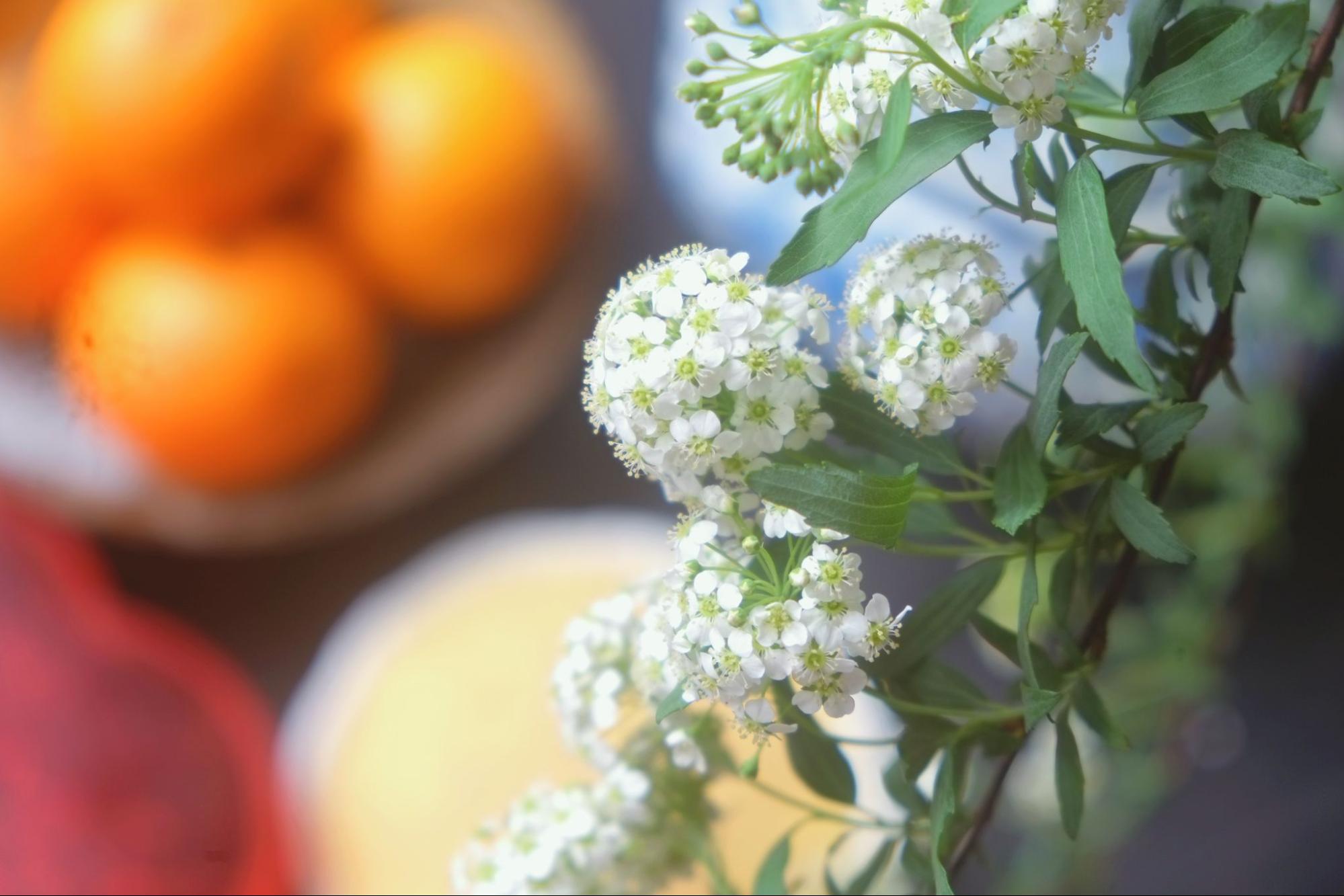 Tết thiếu ch&egrave; kho l&agrave; Tết chưa tr&ograve;n- Ảnh 1.