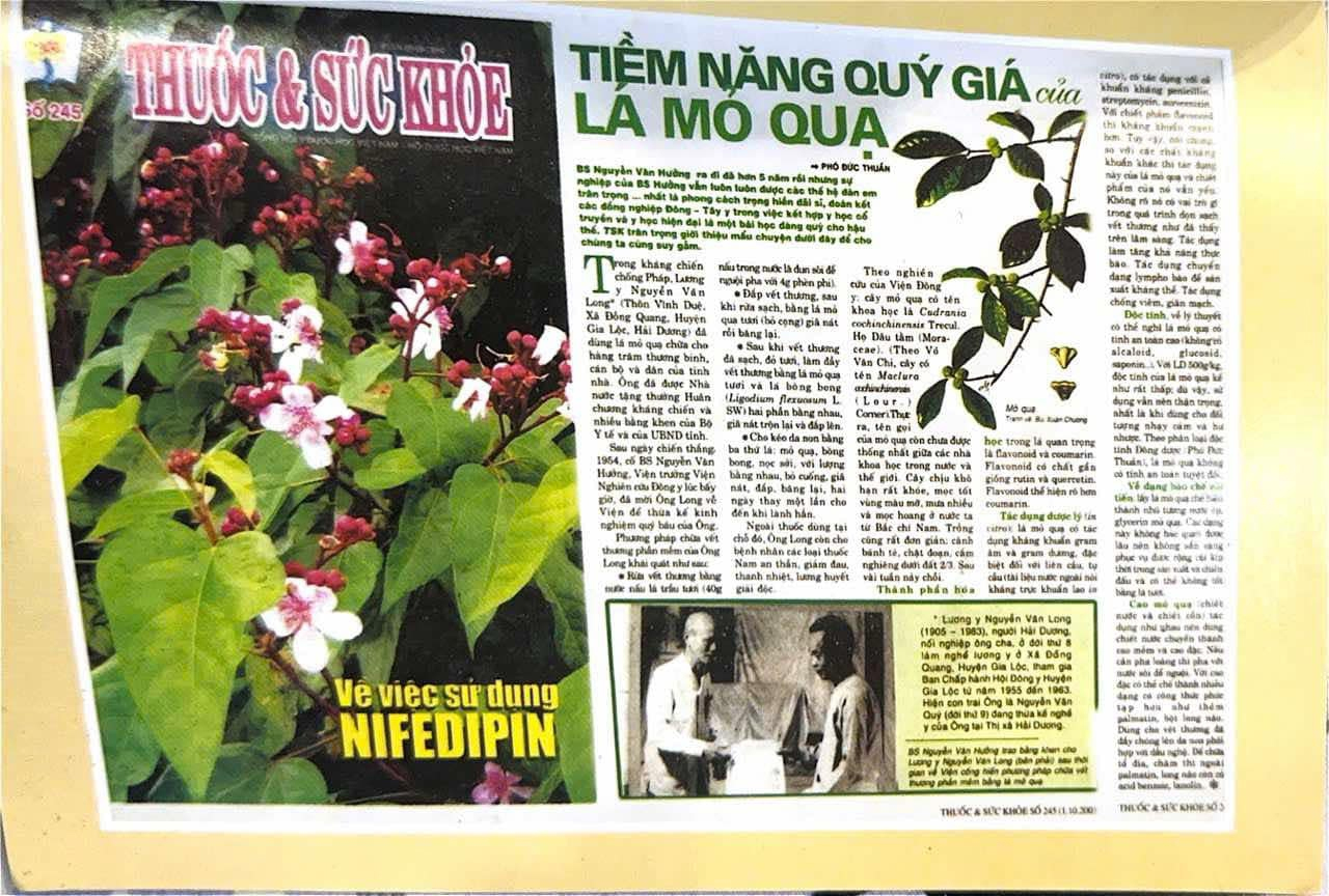 Gặp mặt BS ung bướu ki&ecirc;m tạo h&igrave;nh thẩm mỹ từng chữa khỏi ca bệnh hiếm, 1,3 triệu người mới thấy 1: "T&ocirc;i mong c&oacute; bệnh viện của ri&ecirc;ng m&igrave;nh để chữa cho người ngh&egrave;o"- Ảnh 8.