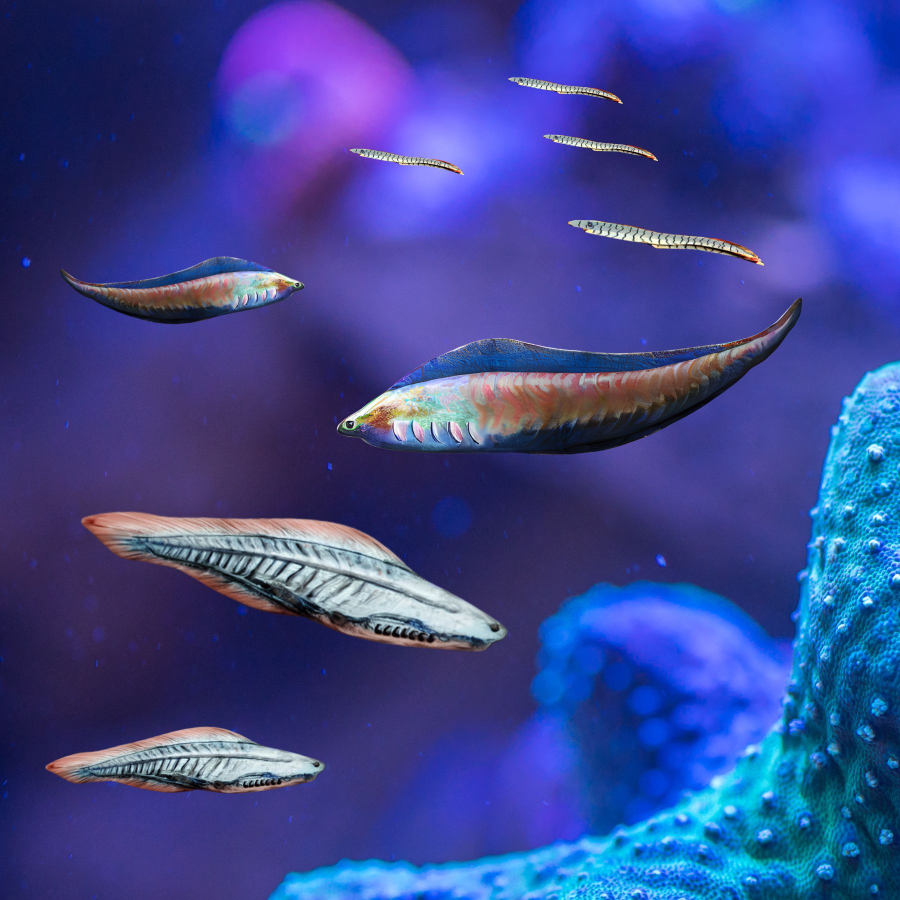 Ph&aacute;t hiện chấn động: Tổ ti&ecirc;n 500 triệu năm trước của lo&agrave;i người từng nh&igrave;n đời bằng bốn con mắt!- Ảnh 3.